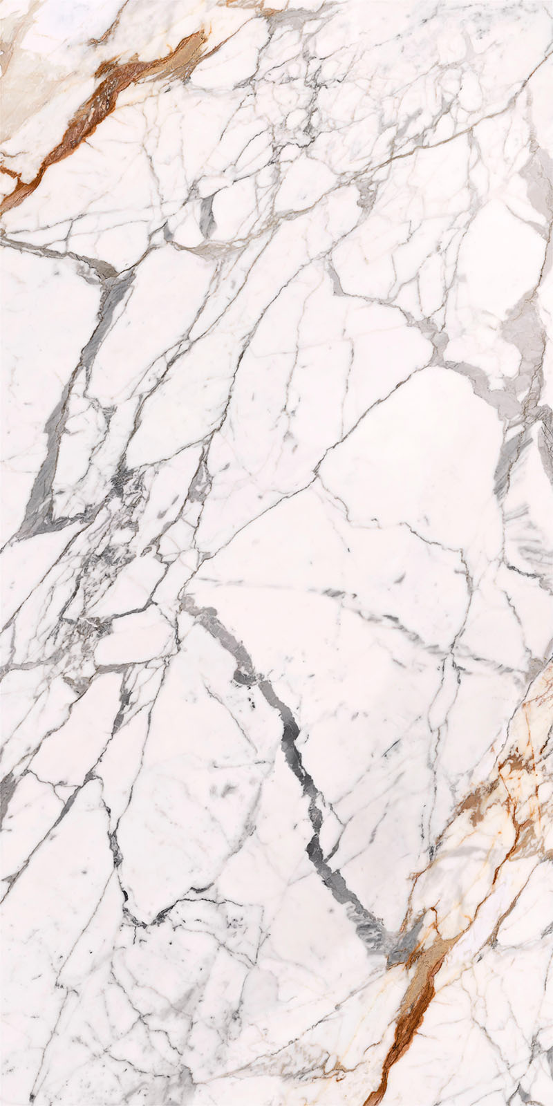 问鼎app官方下载