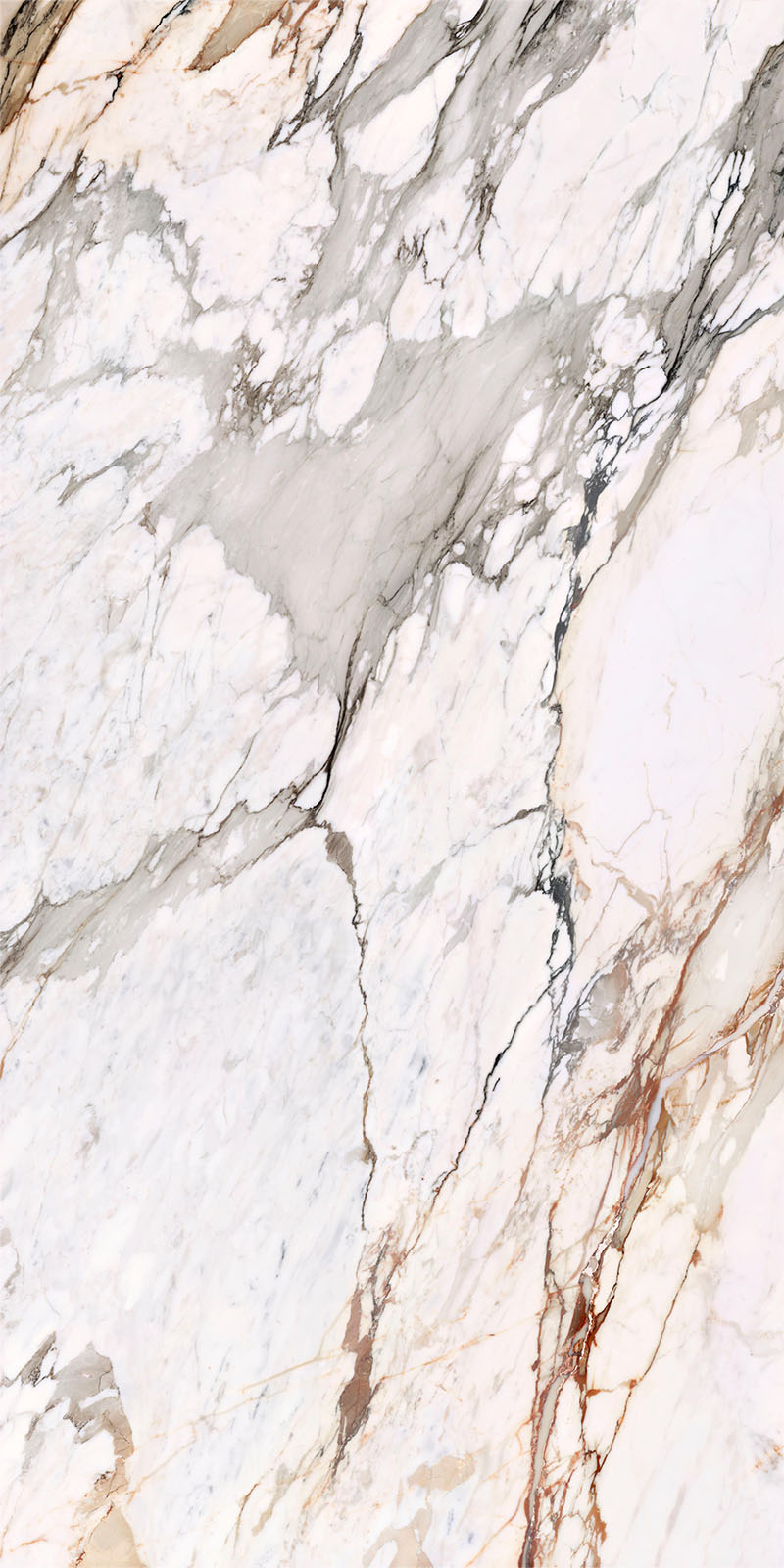 问鼎app官方下载