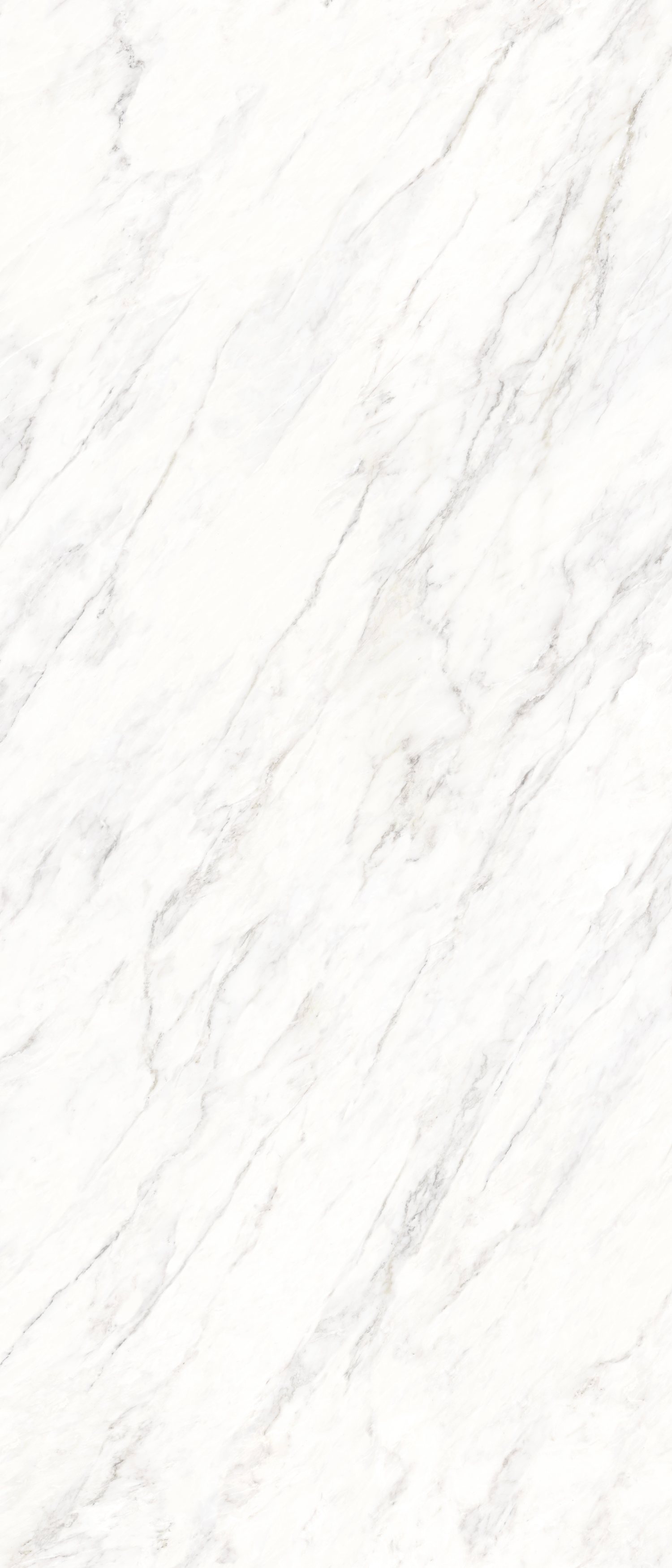 问鼎app官方下载