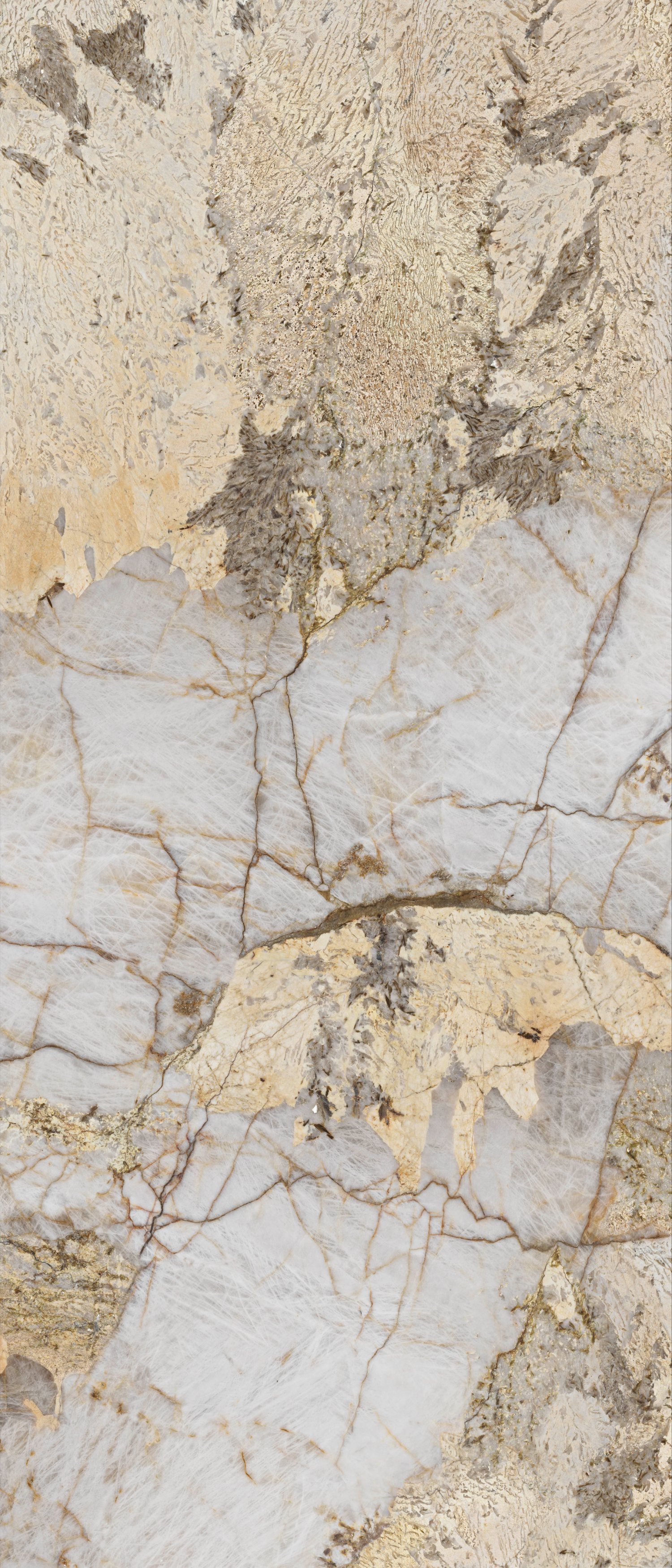 问鼎app官方下载