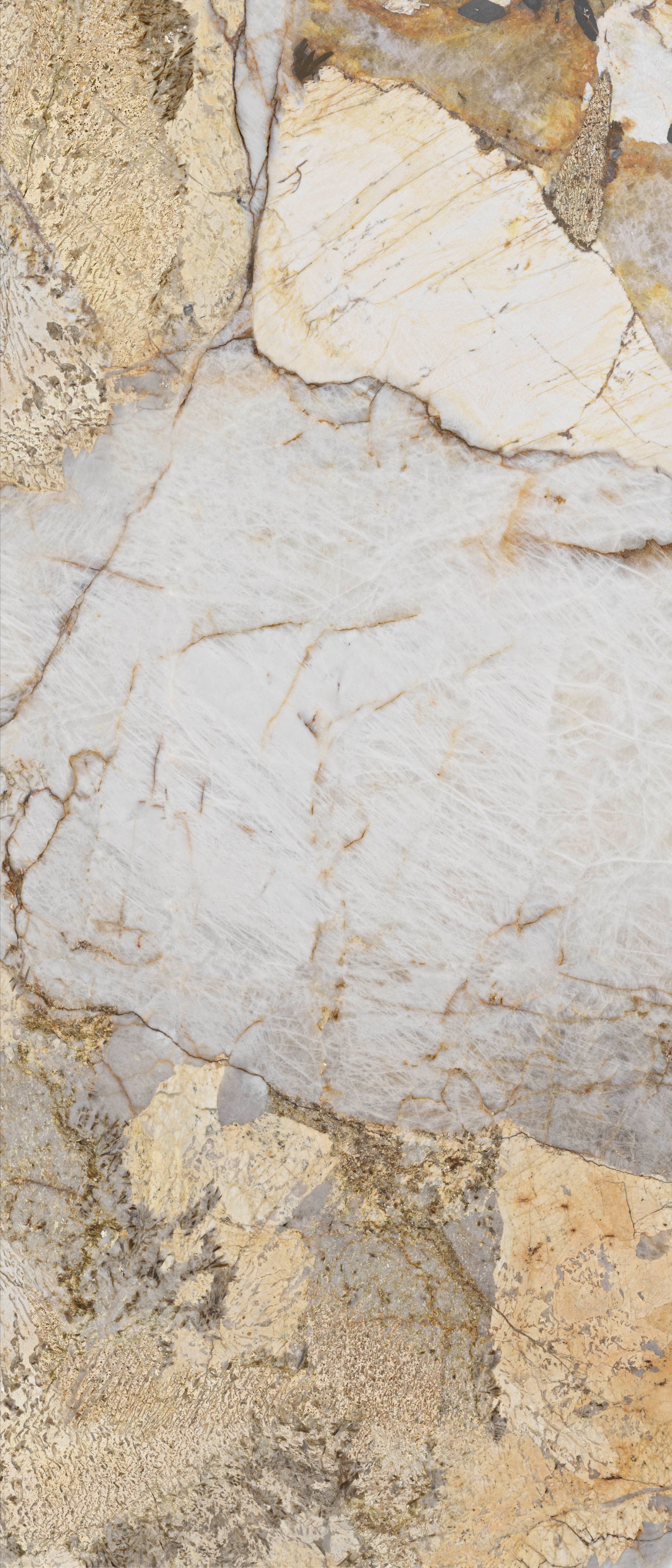 问鼎app官方下载