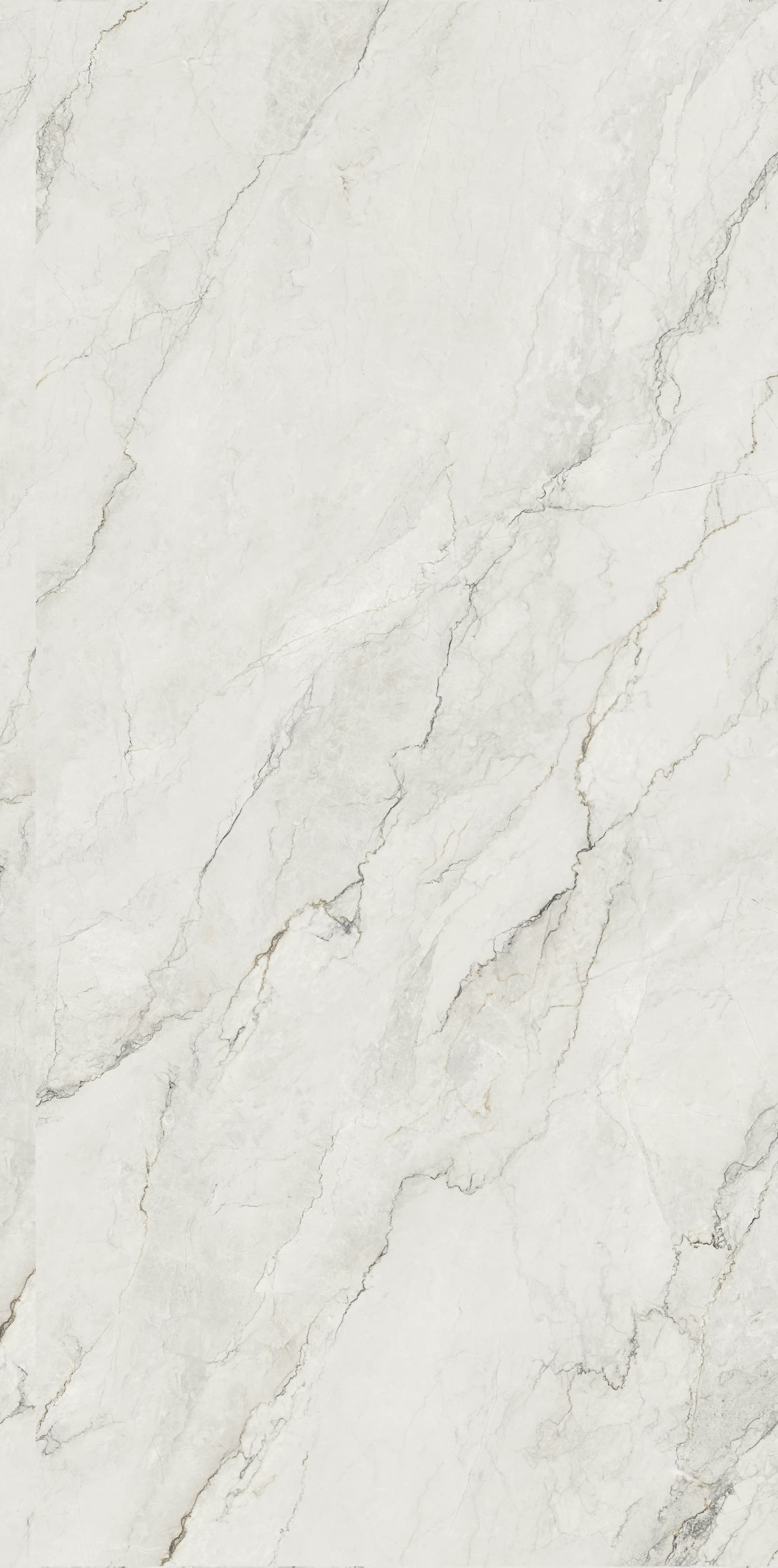 问鼎app官方下载