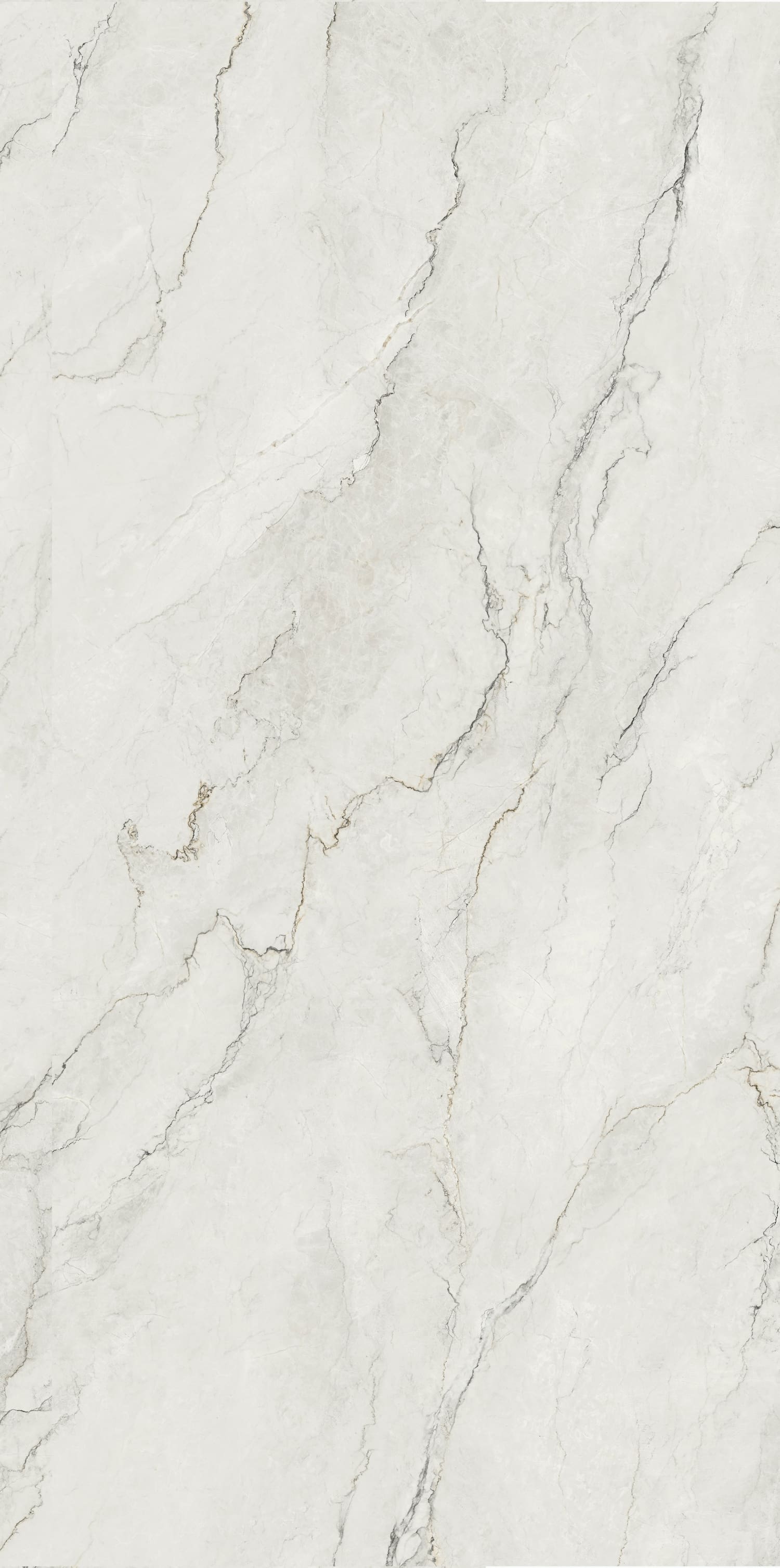 问鼎app官方下载