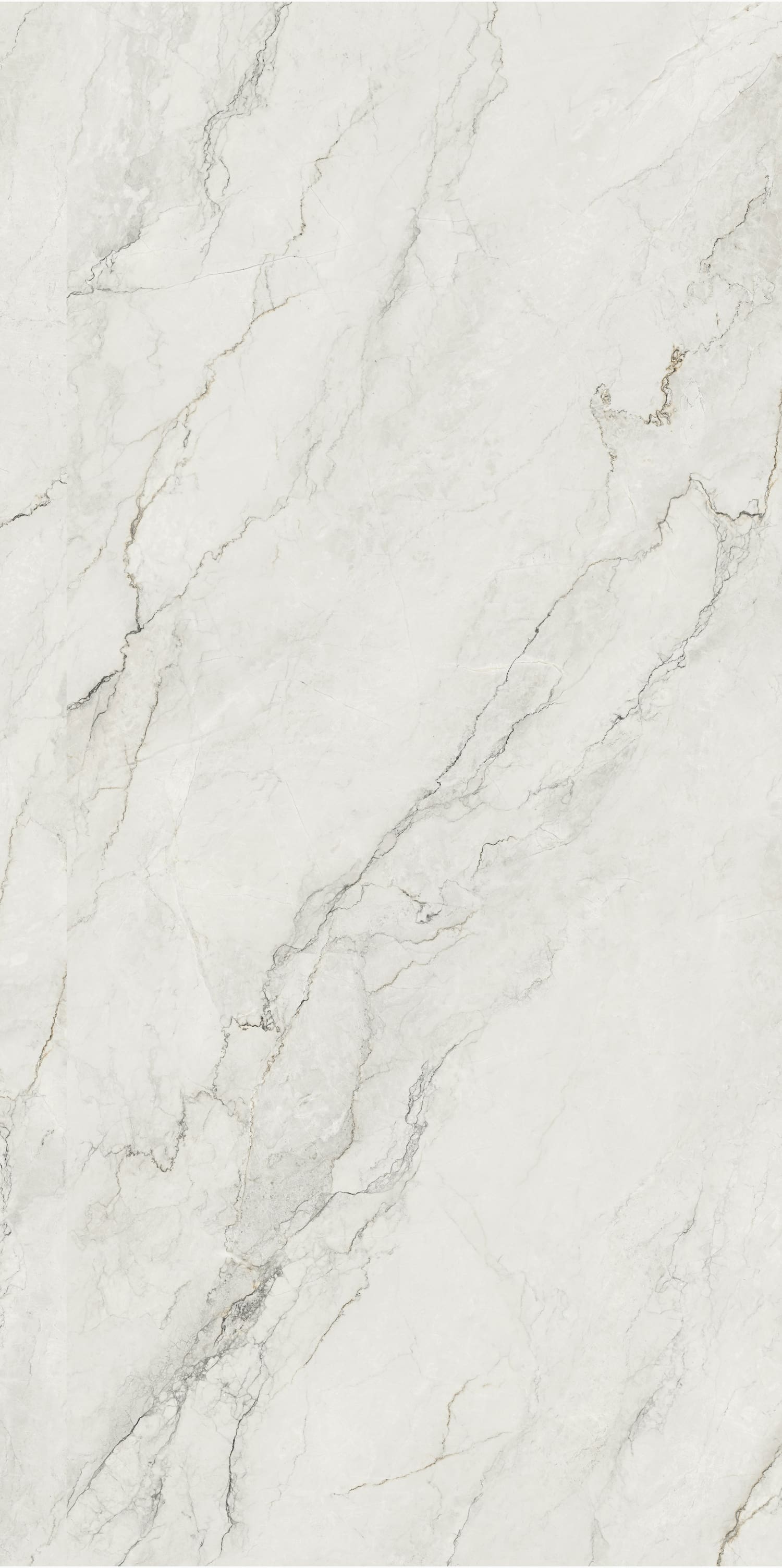 问鼎app官方下载