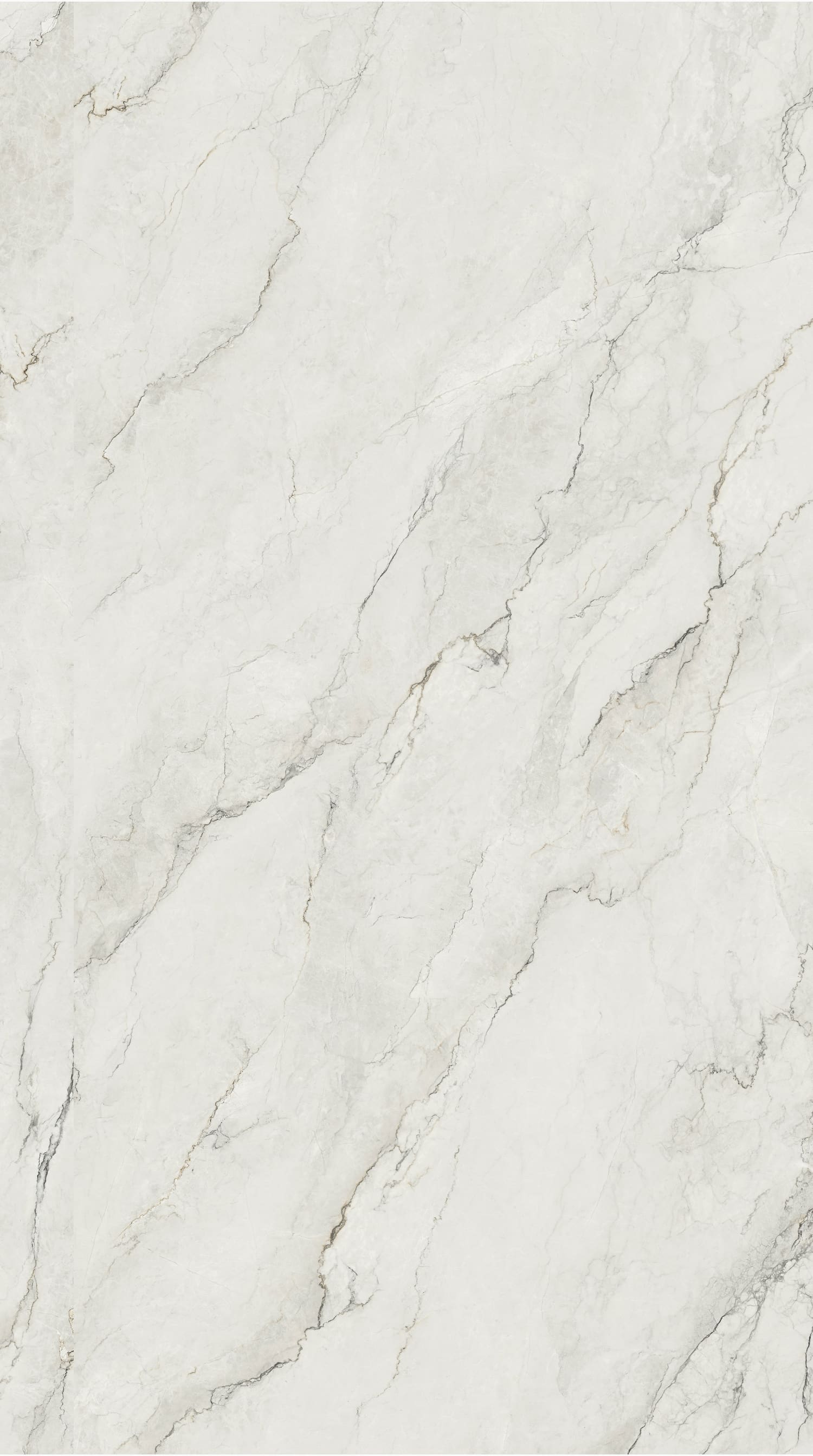 问鼎app官方下载