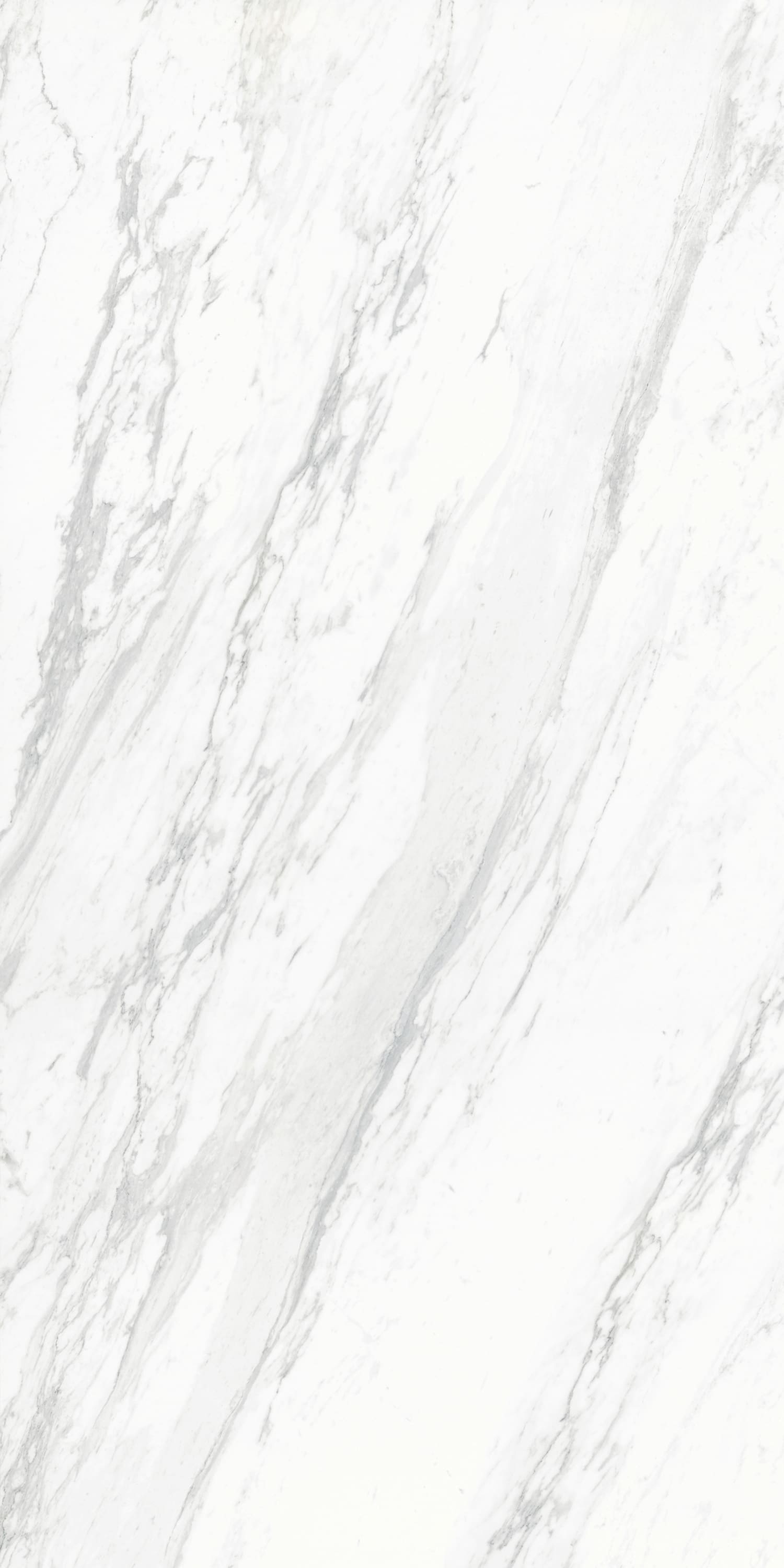 问鼎app官方下载