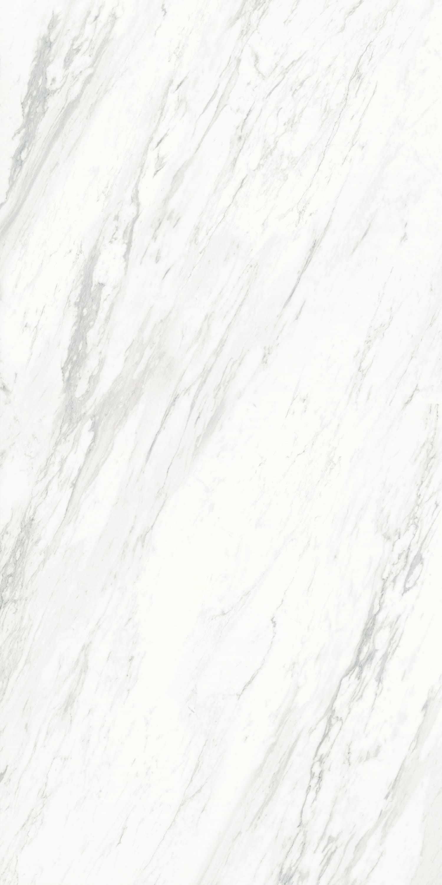 问鼎app官方下载