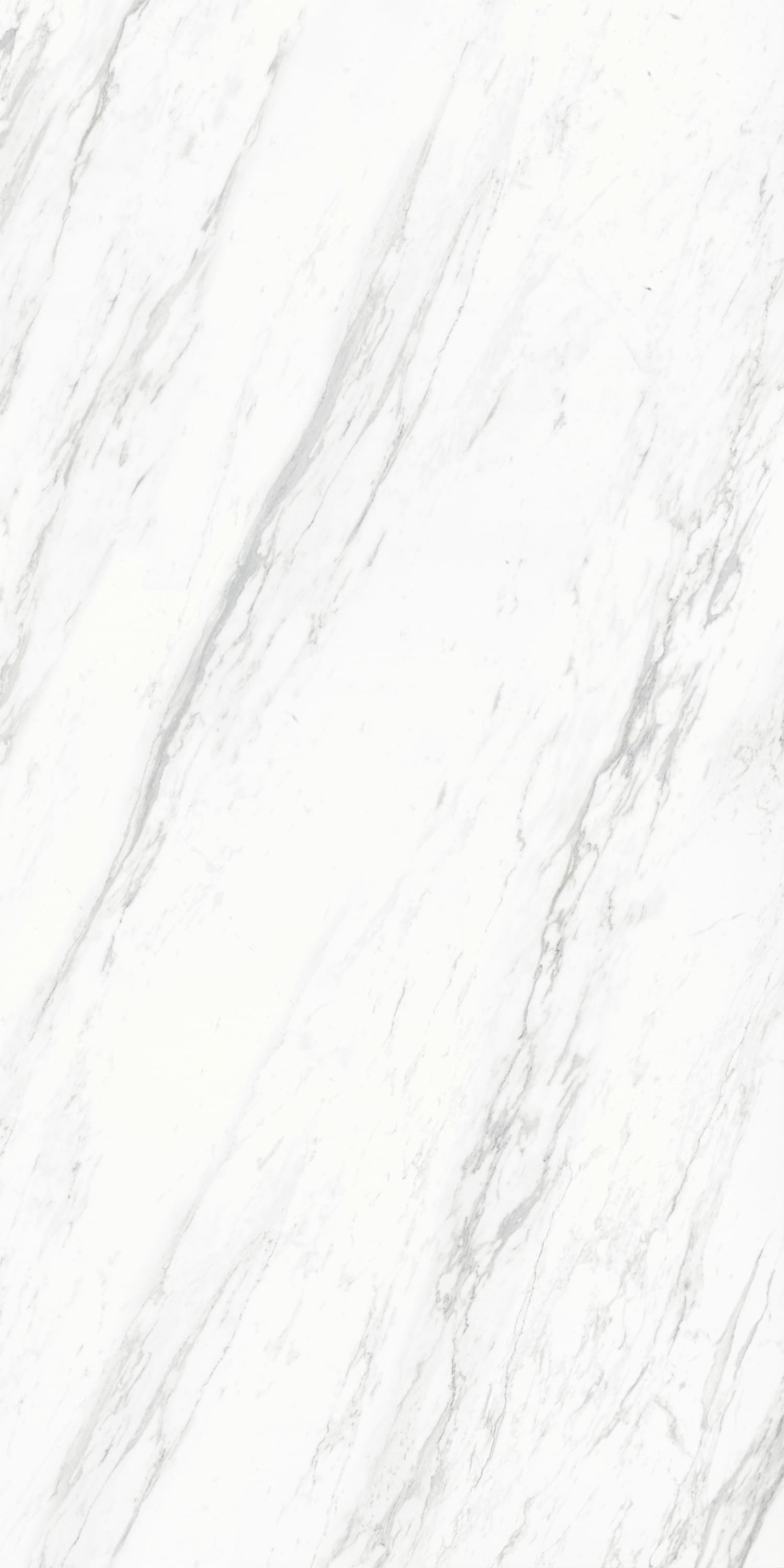 问鼎app官方下载