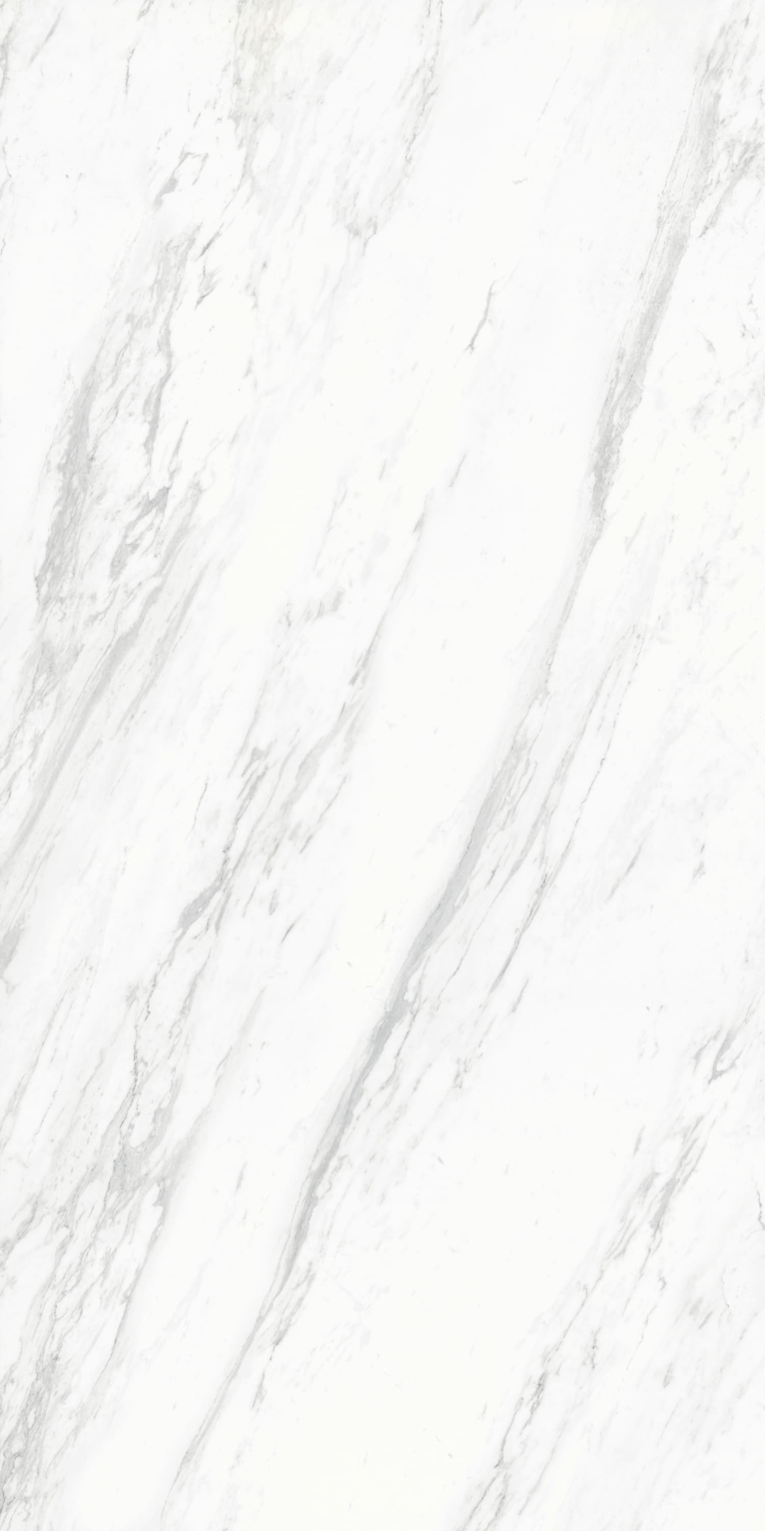 问鼎app官方下载