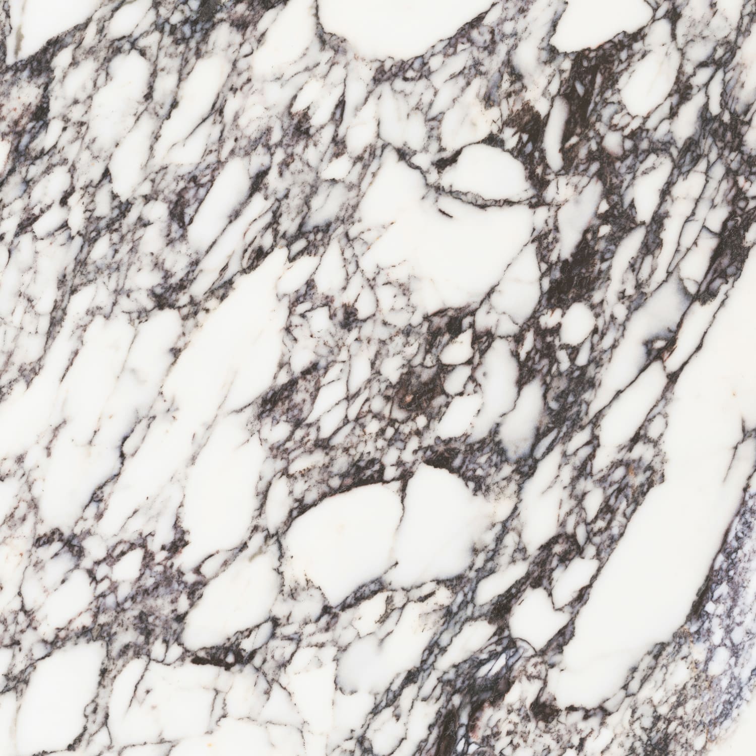 问鼎app官方下载