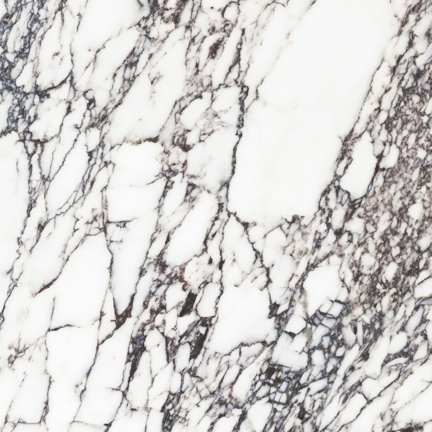 问鼎app官方下载