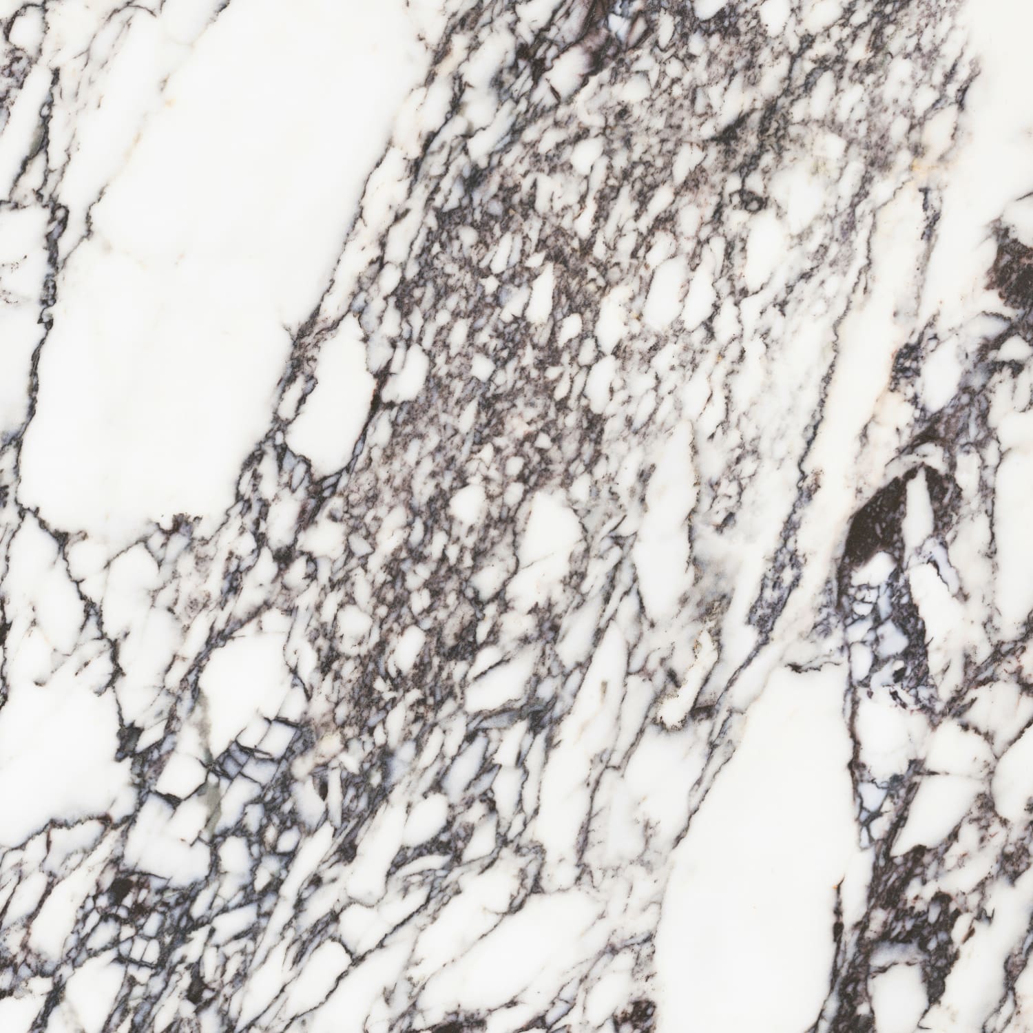 问鼎app官方下载