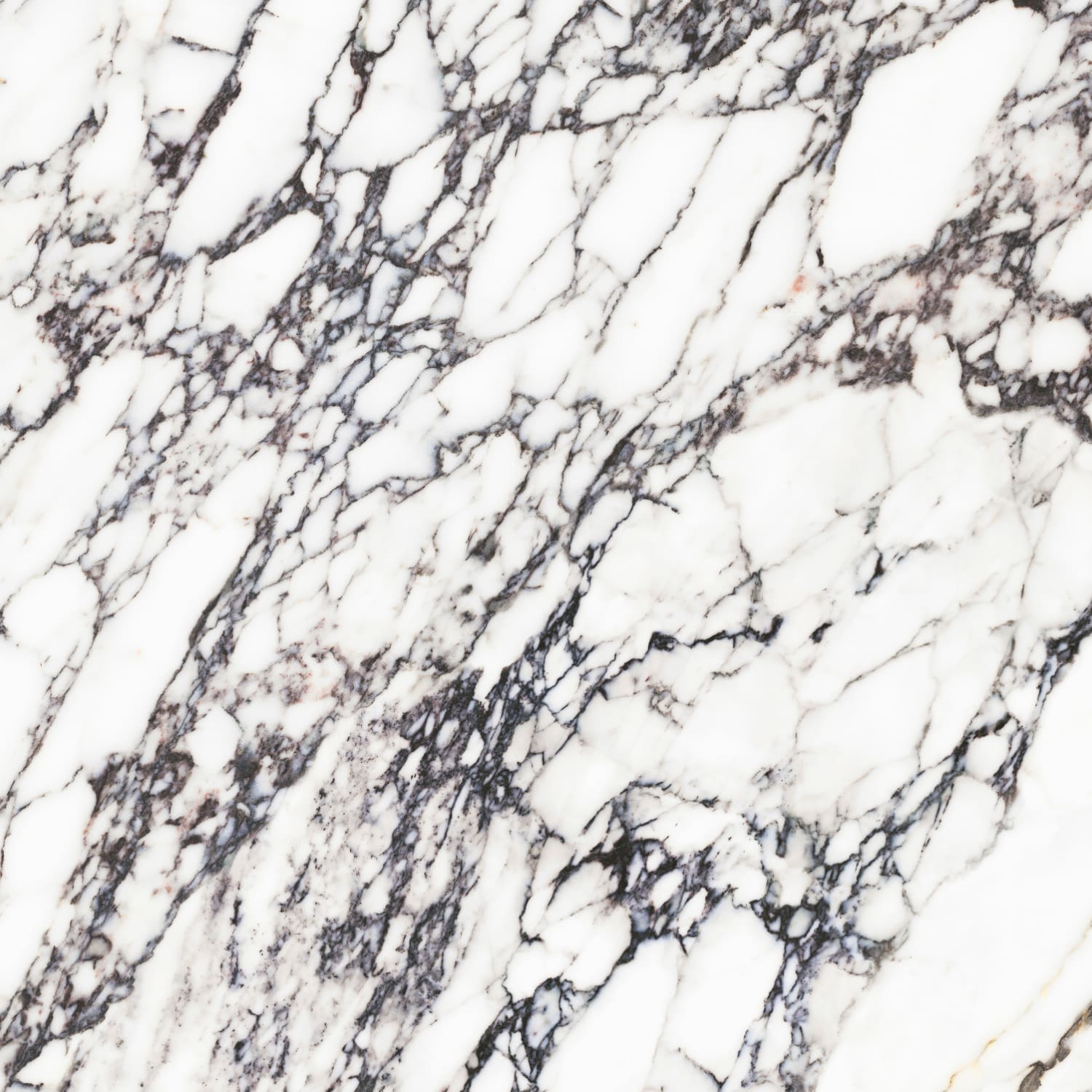 问鼎app官方下载