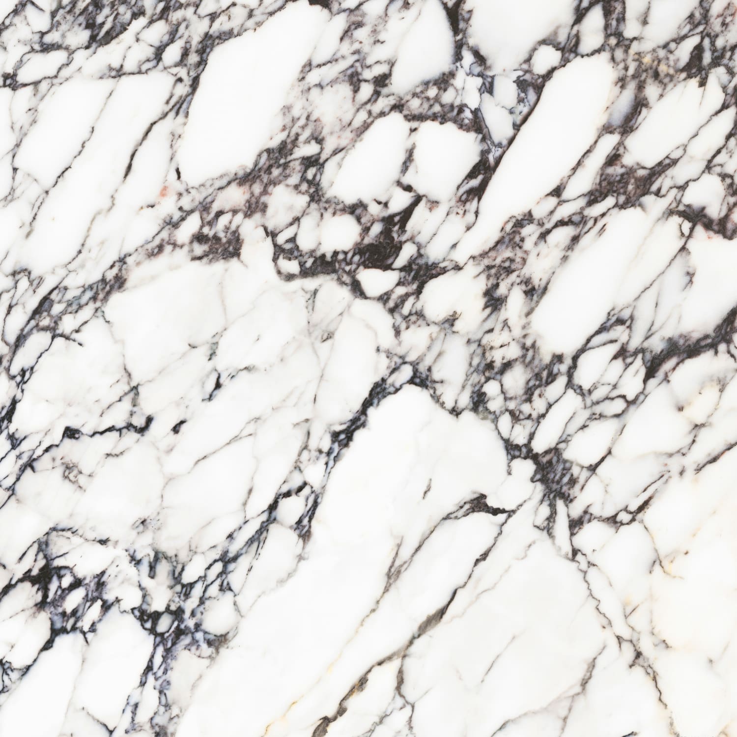 问鼎app官方下载