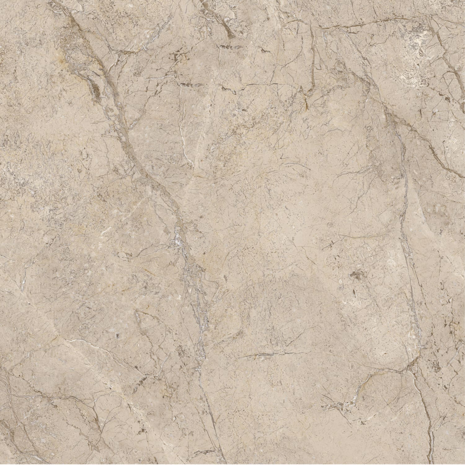 问鼎app官方下载