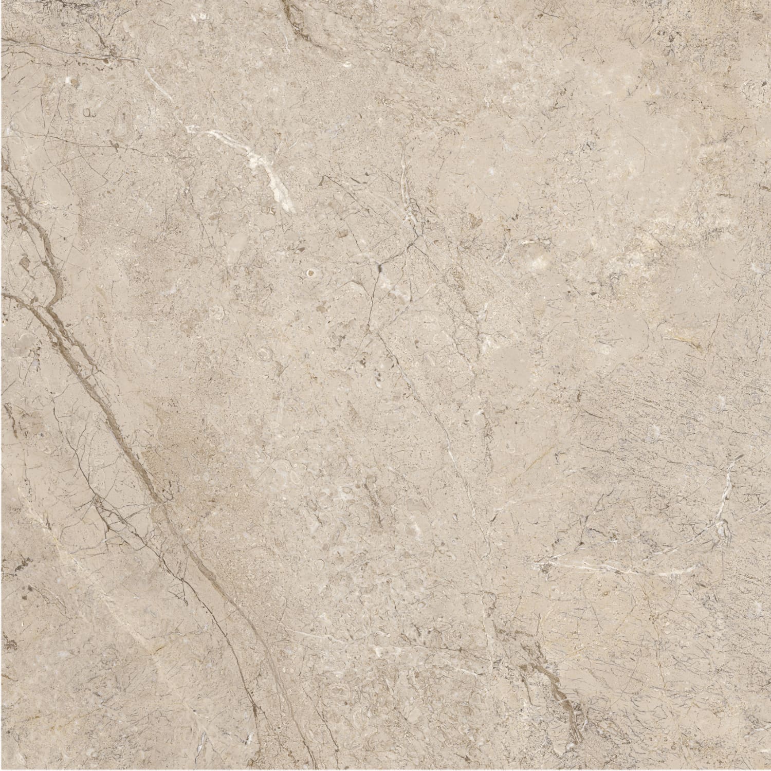 问鼎app官方下载