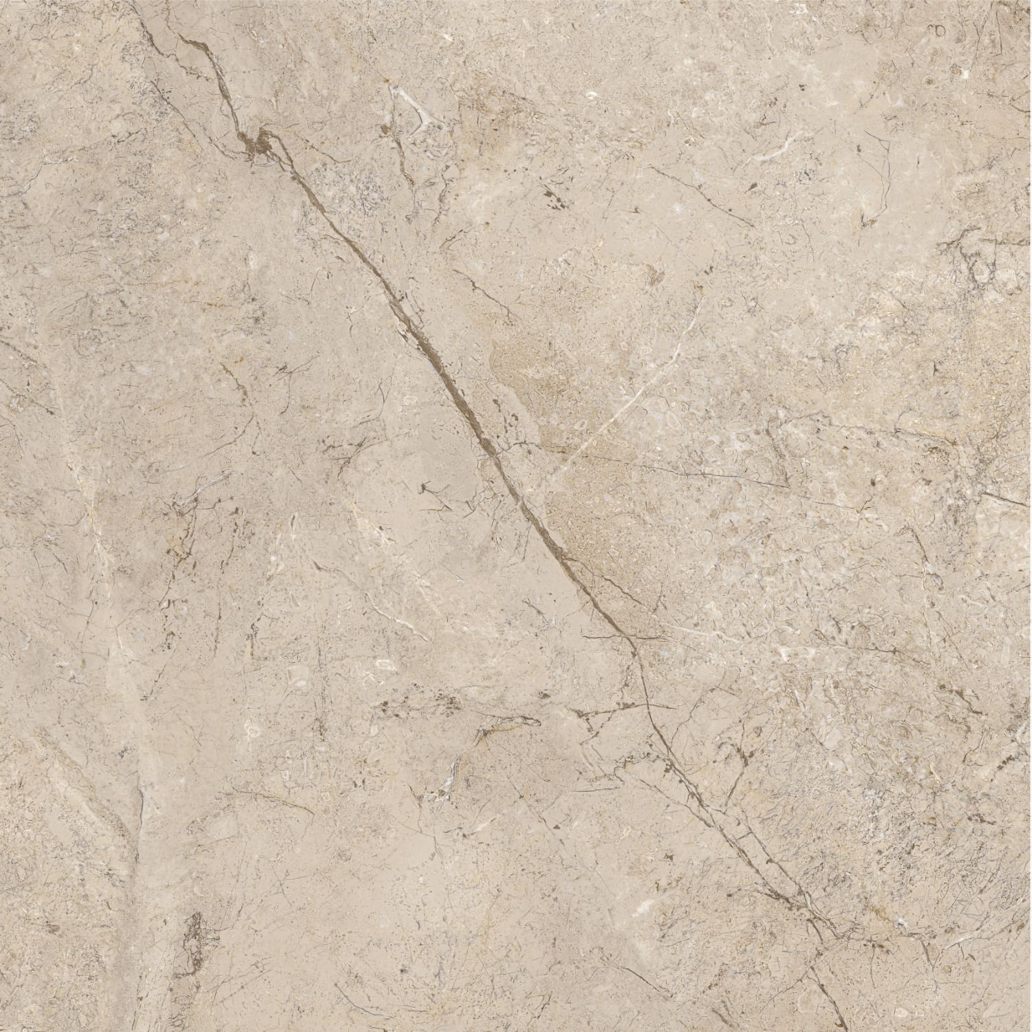 问鼎app官方下载