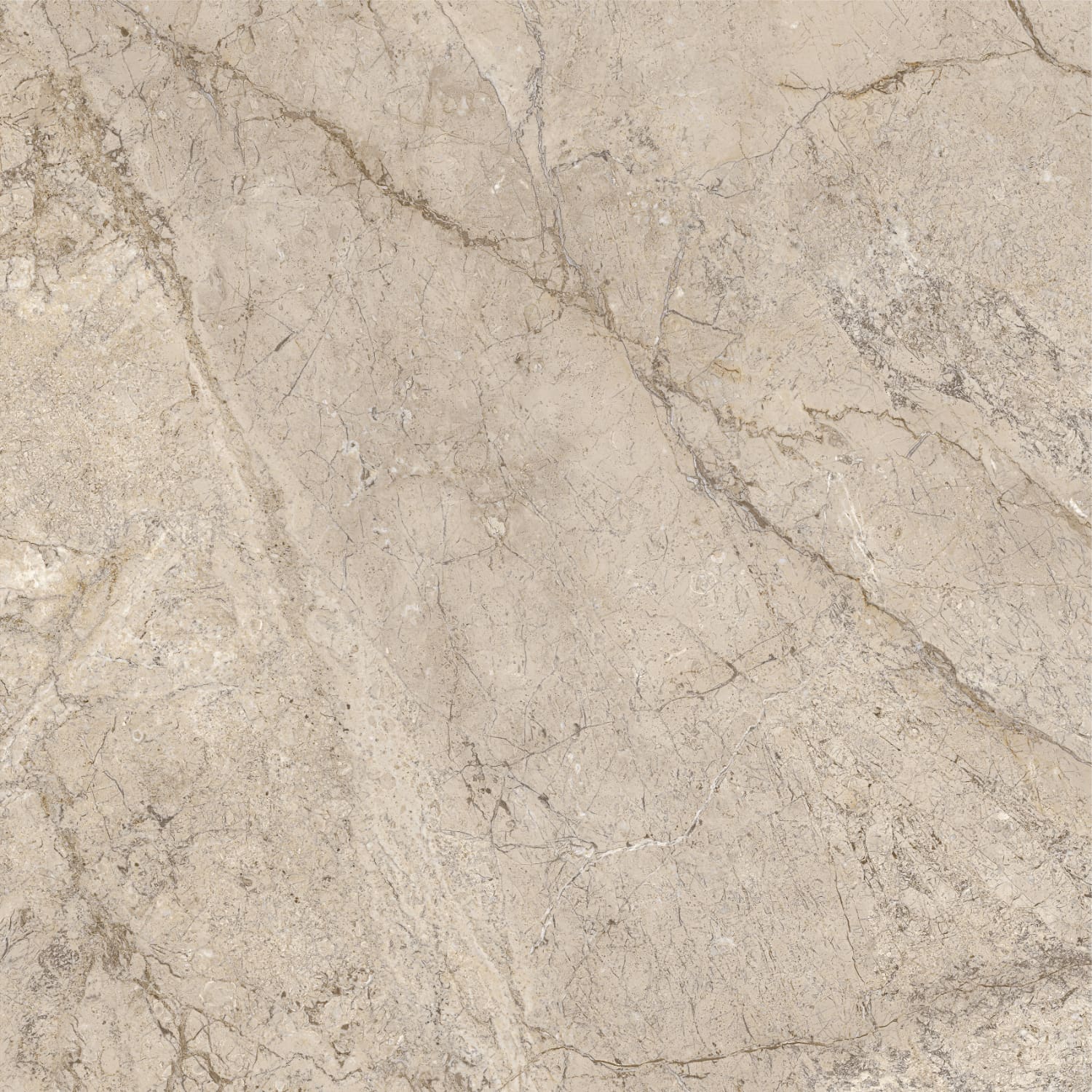 问鼎app官方下载