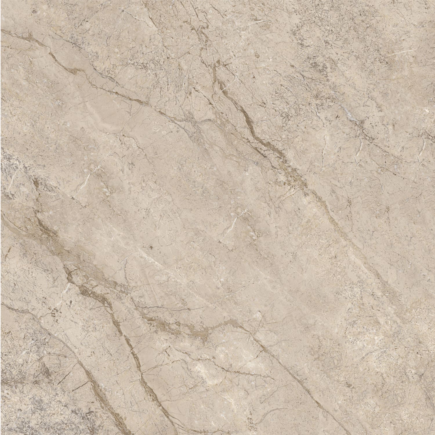 问鼎app官方下载