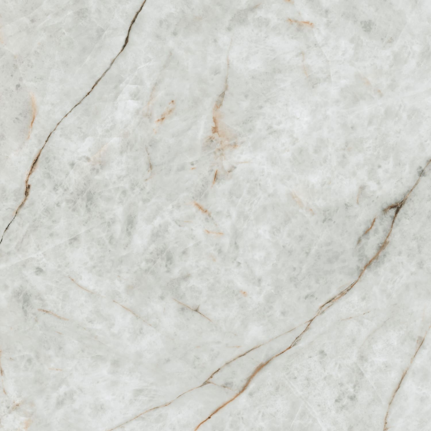 问鼎app官方下载