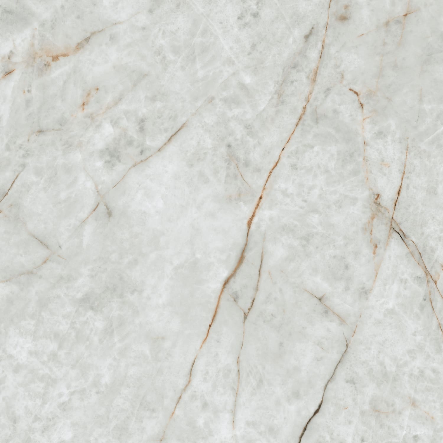 问鼎app官方下载