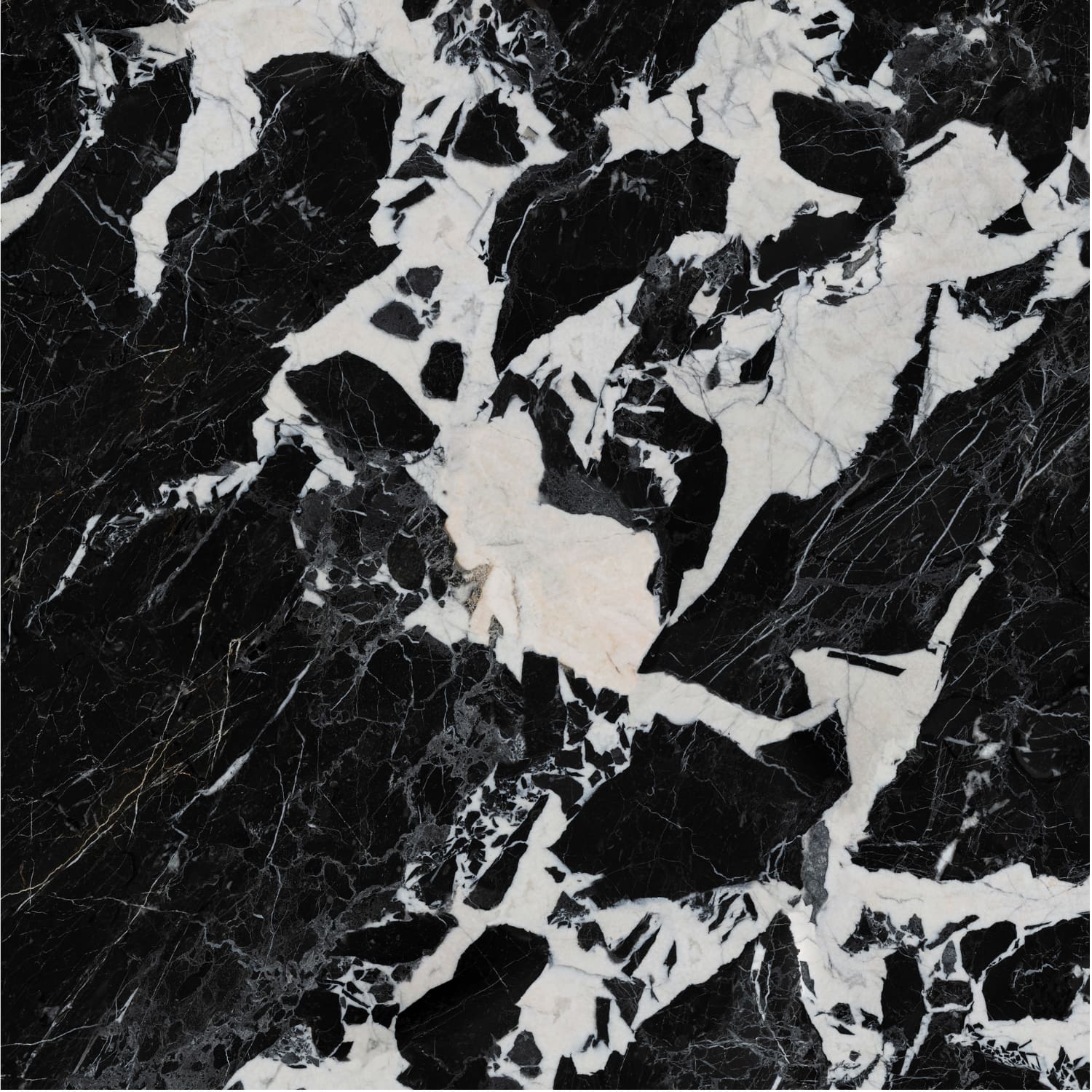 问鼎app官方下载