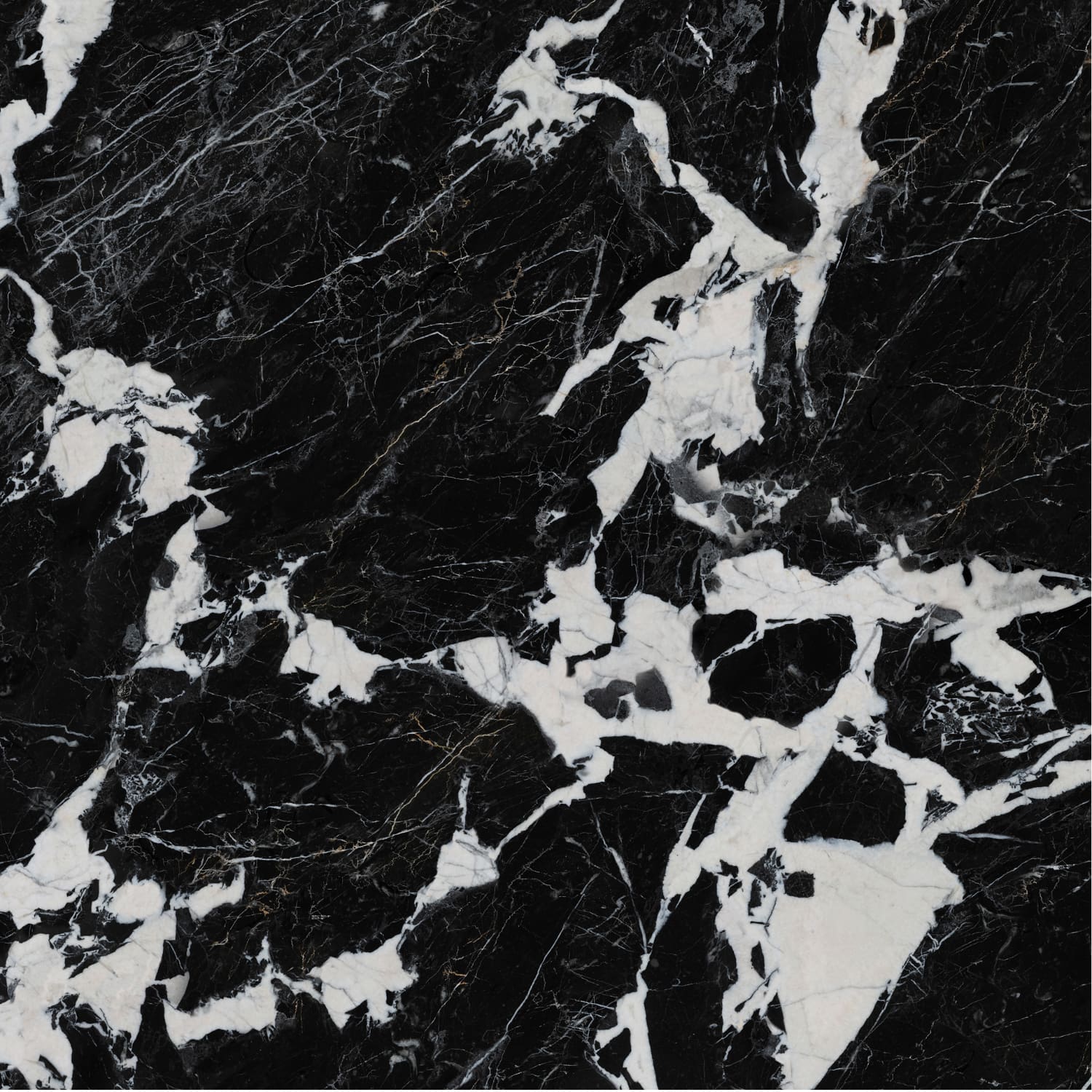 问鼎app官方下载