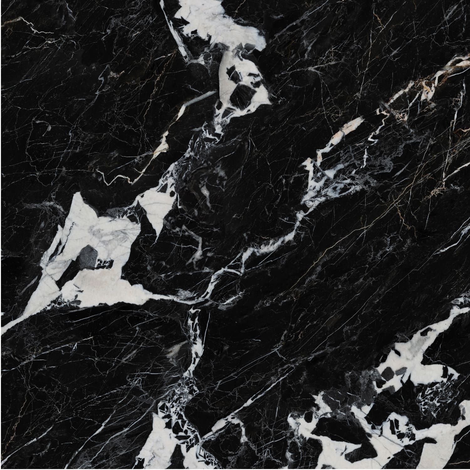 问鼎app官方下载