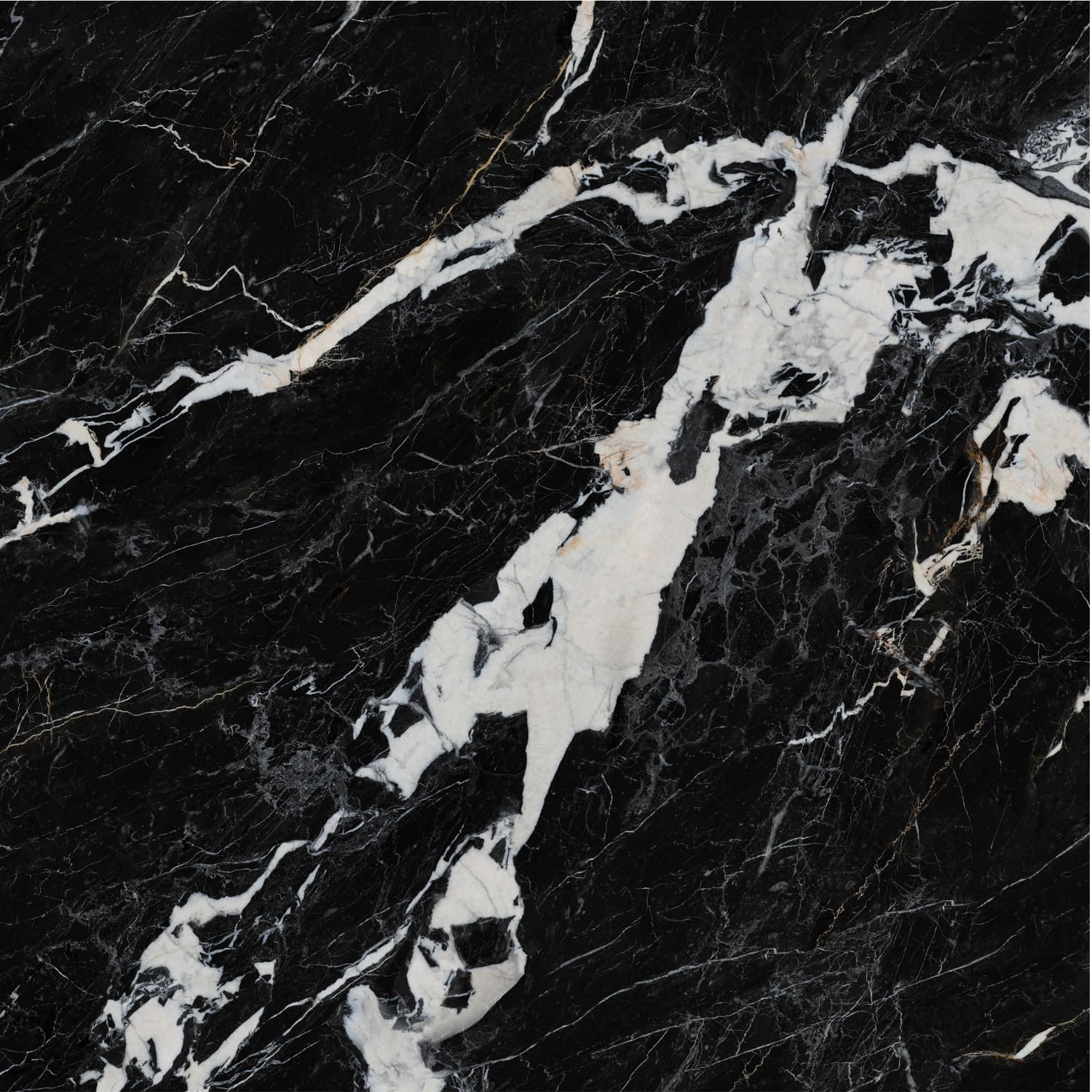 问鼎app官方下载