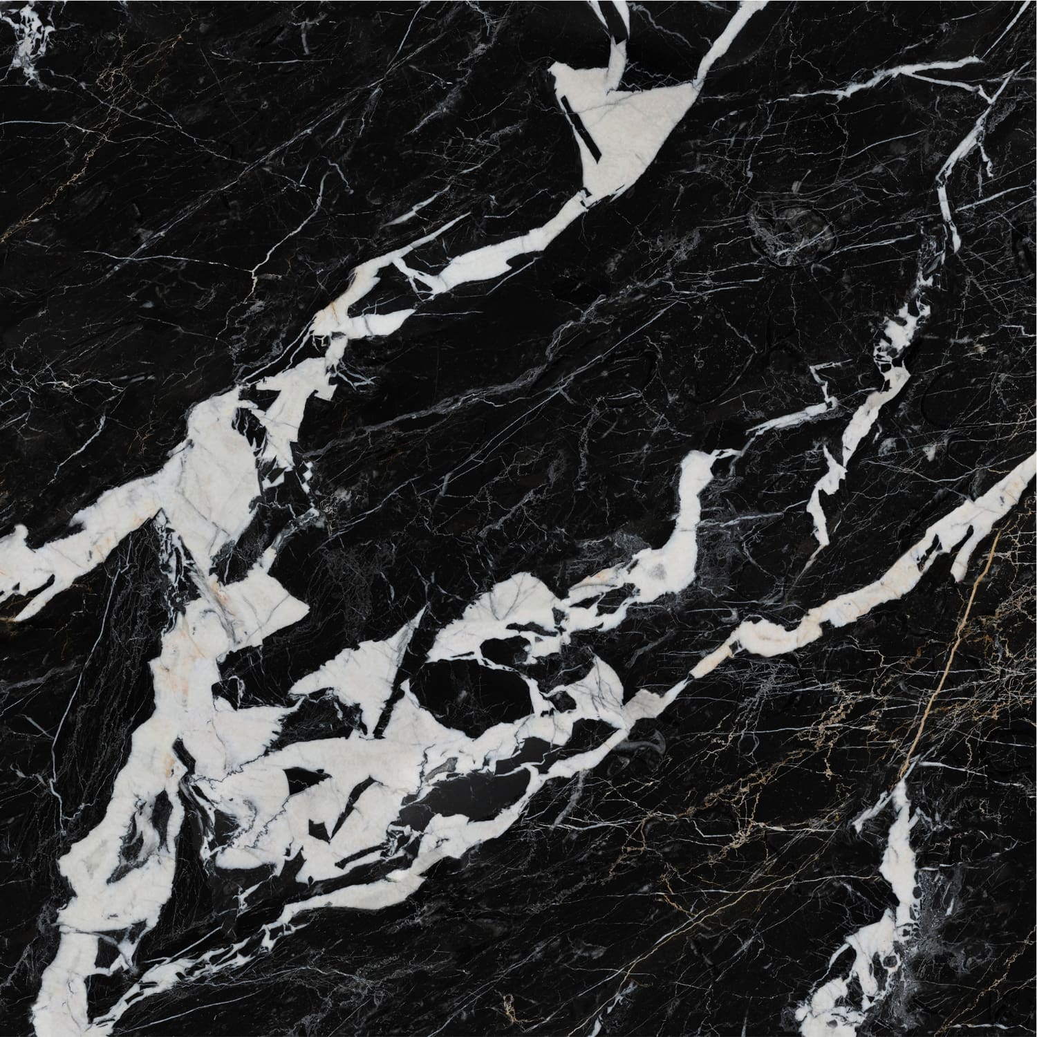 问鼎app官方下载