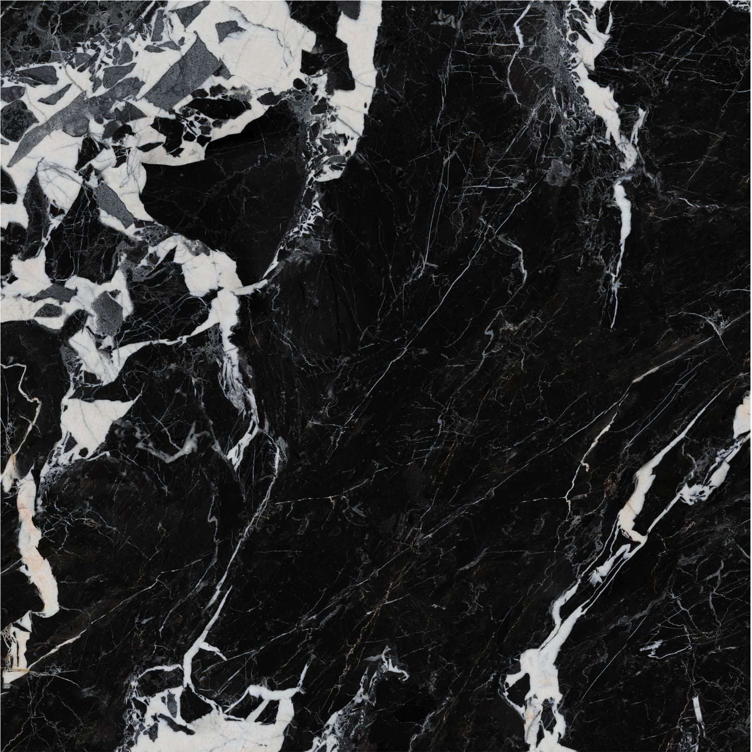 问鼎app官方下载