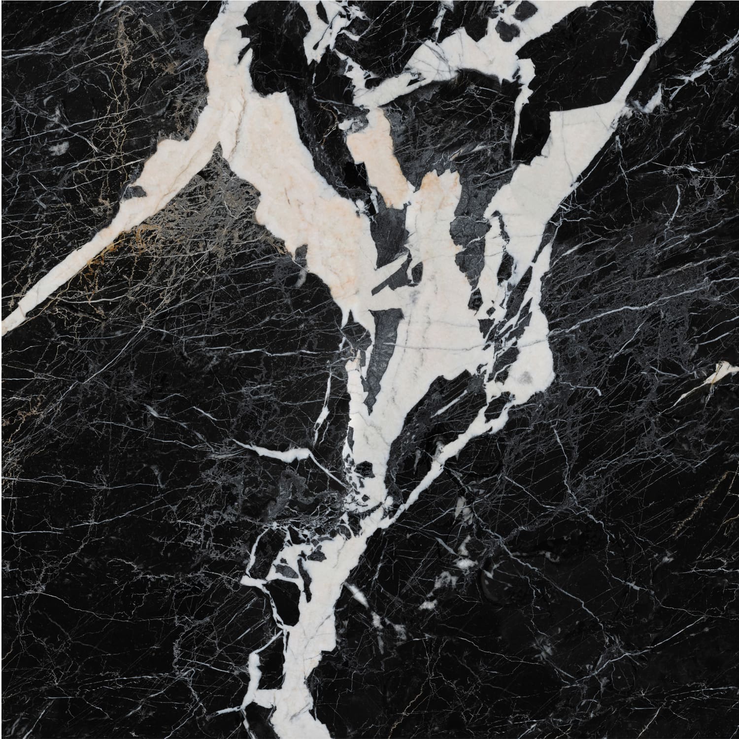 问鼎app官方下载