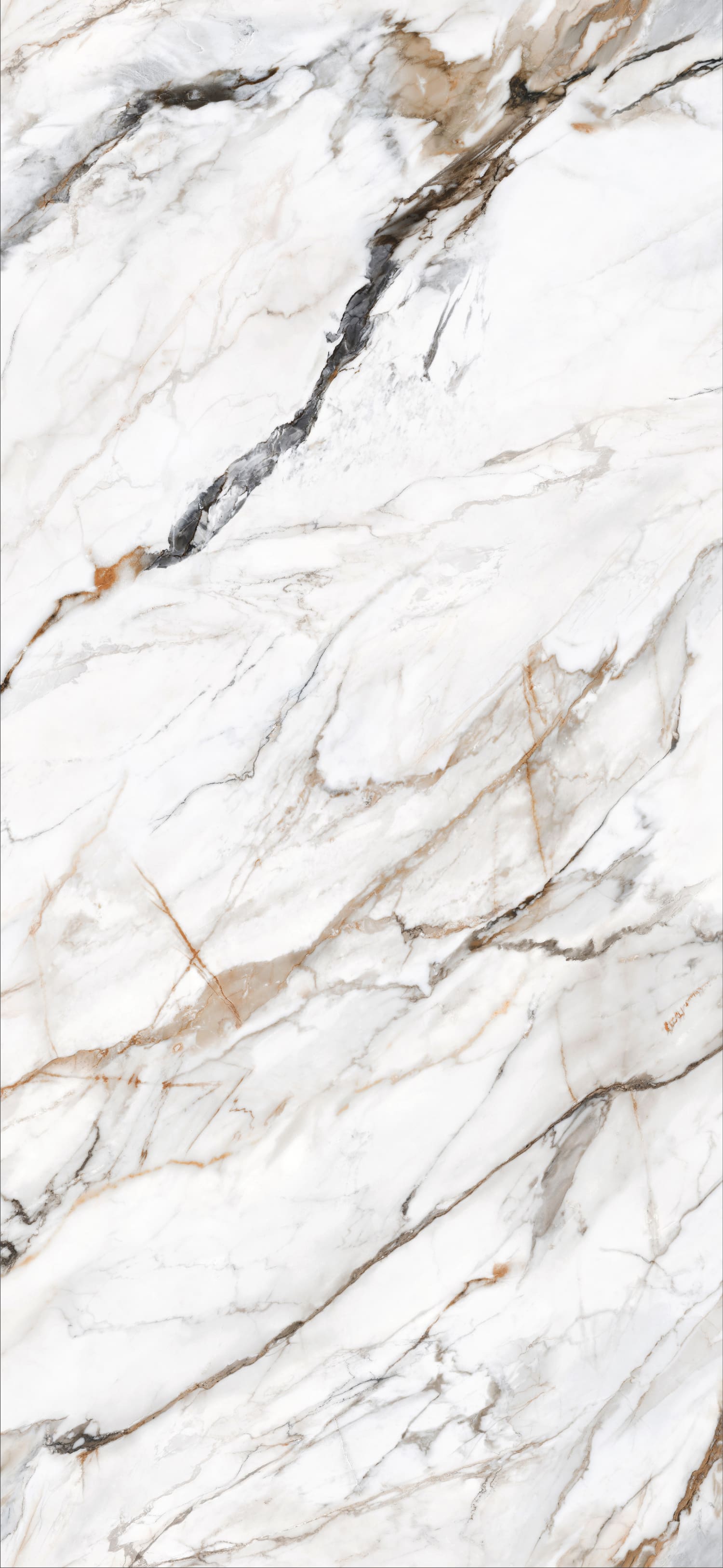 问鼎app官方下载