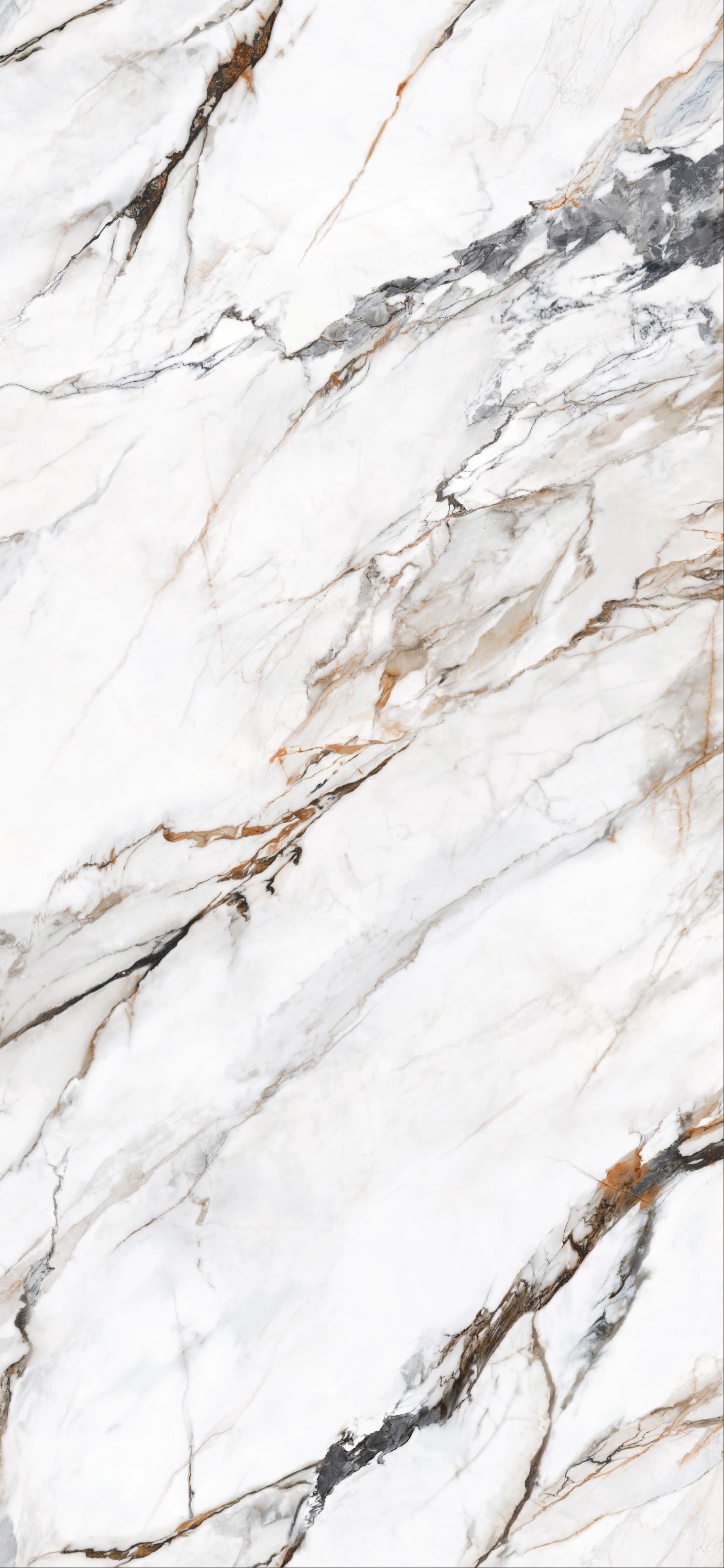 问鼎app官方下载