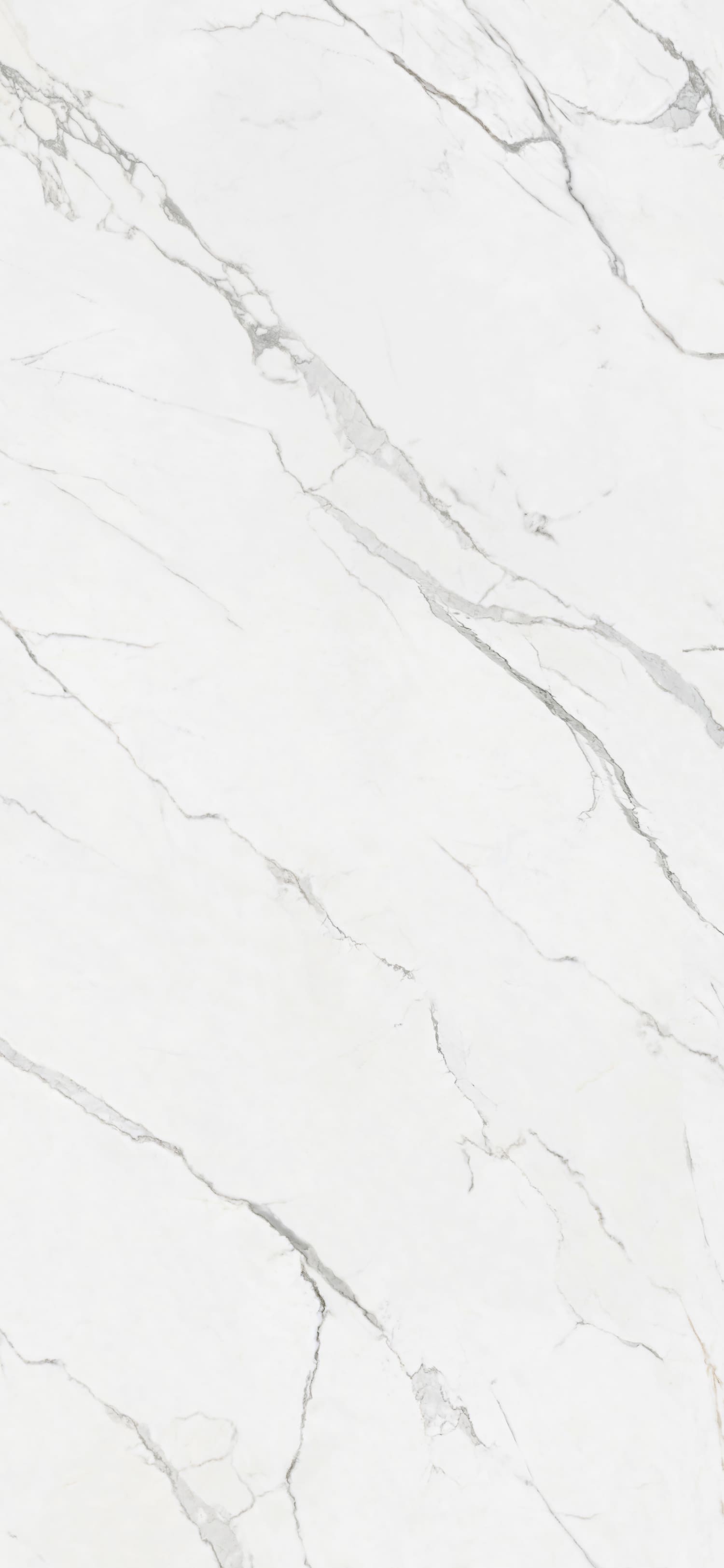 问鼎app官方下载