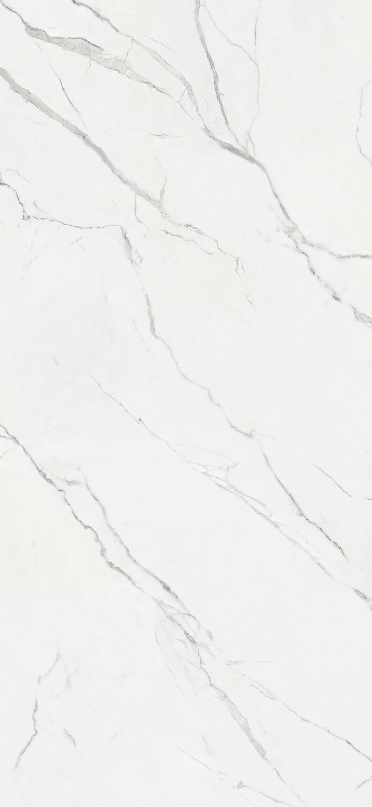 问鼎app官方下载