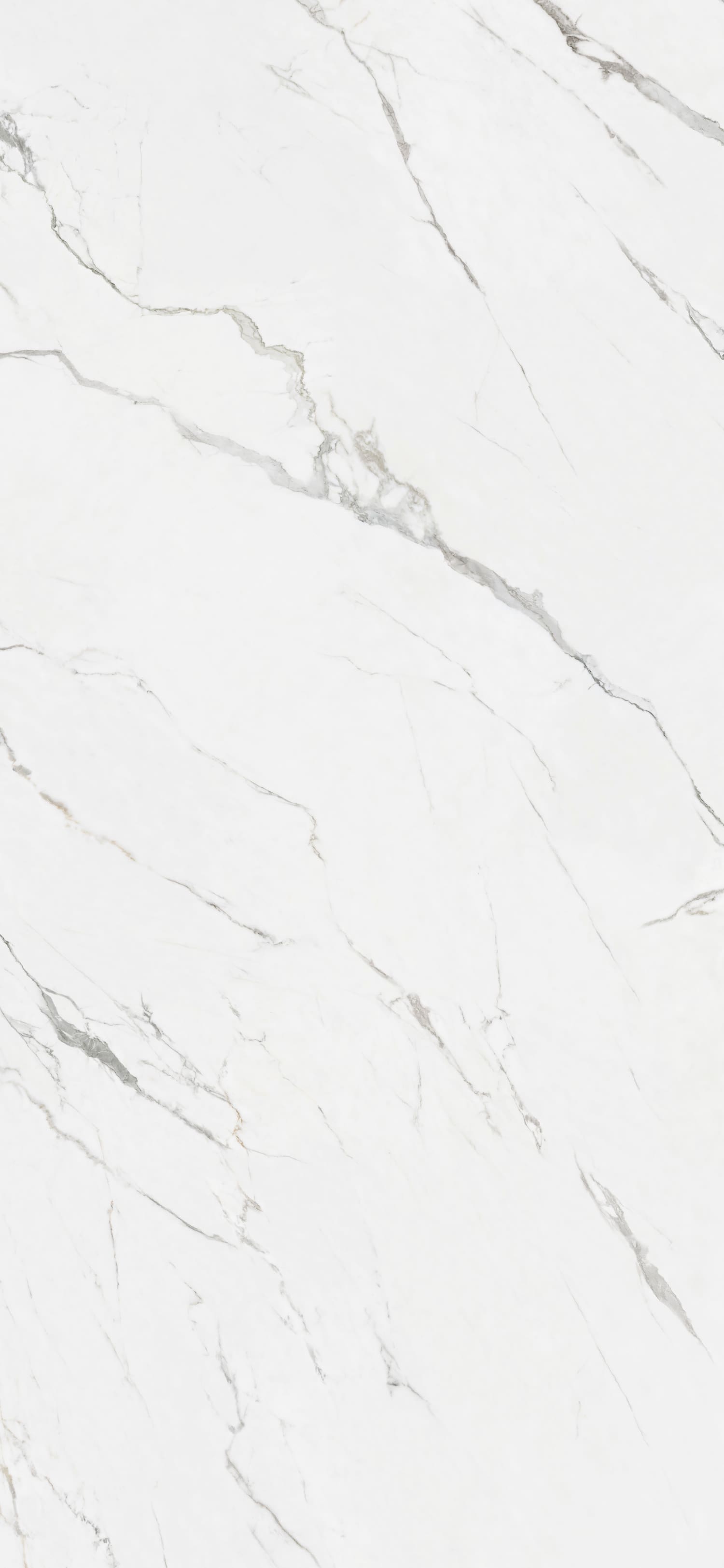 问鼎app官方下载