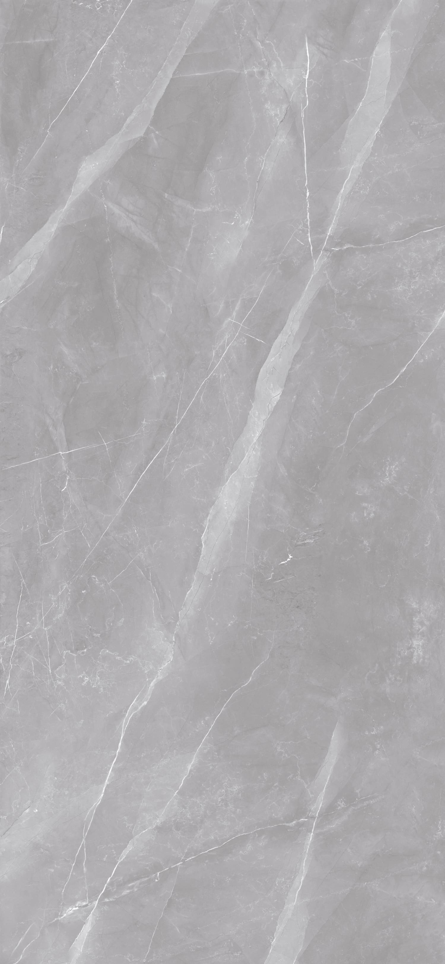 问鼎app官方下载