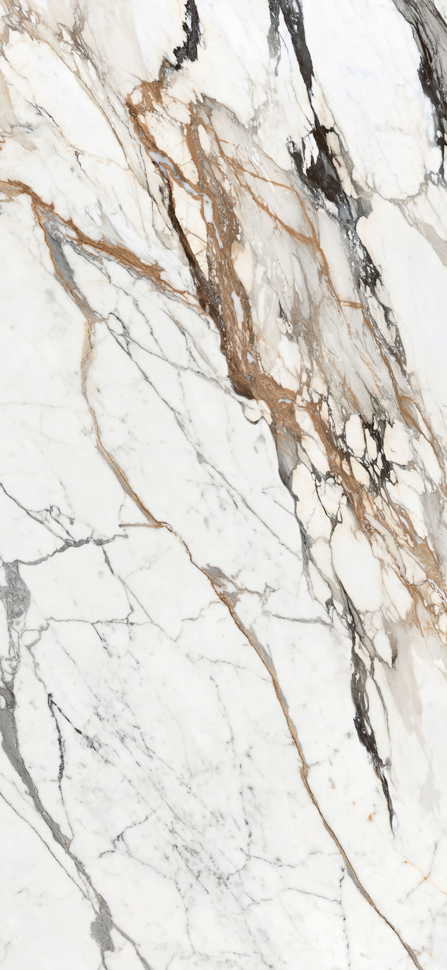 问鼎app官方下载