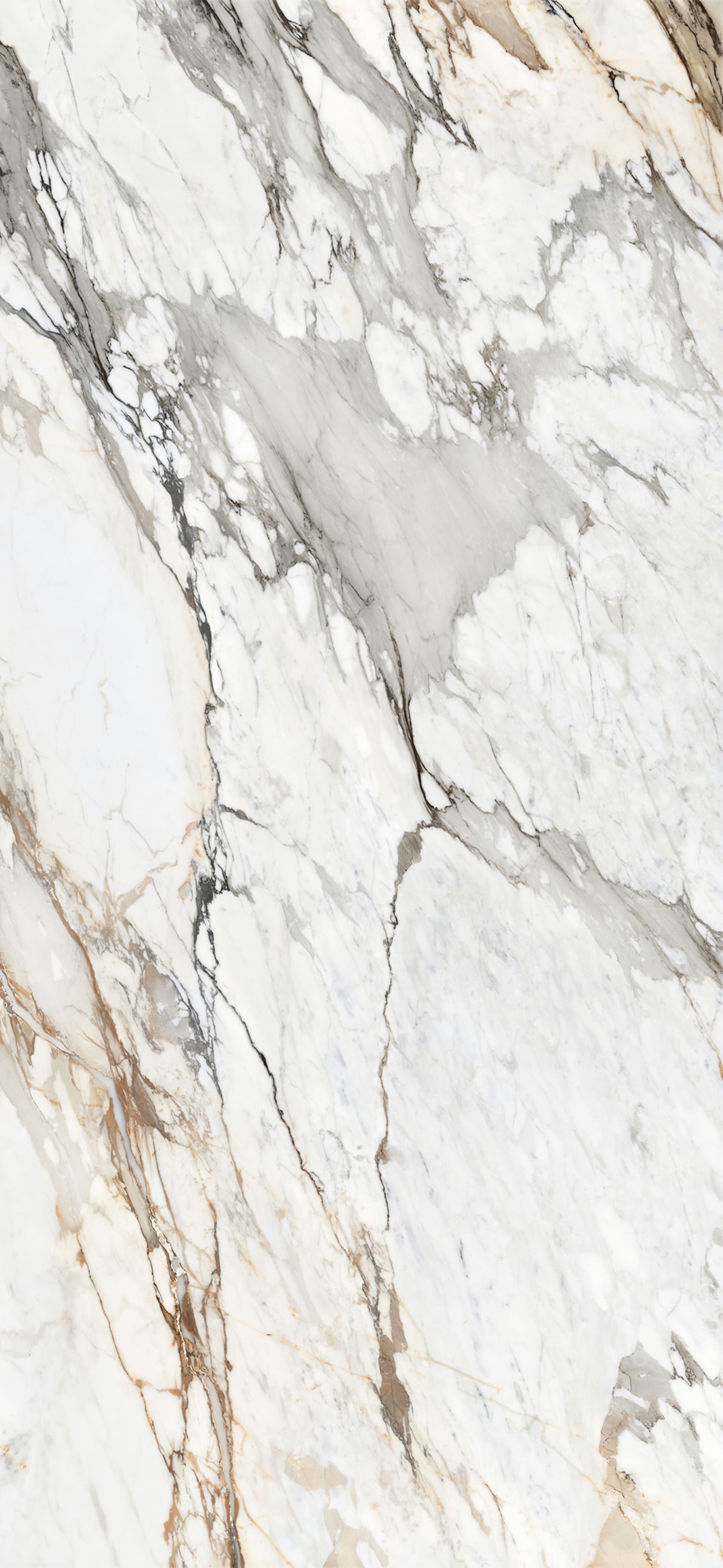 问鼎app官方下载