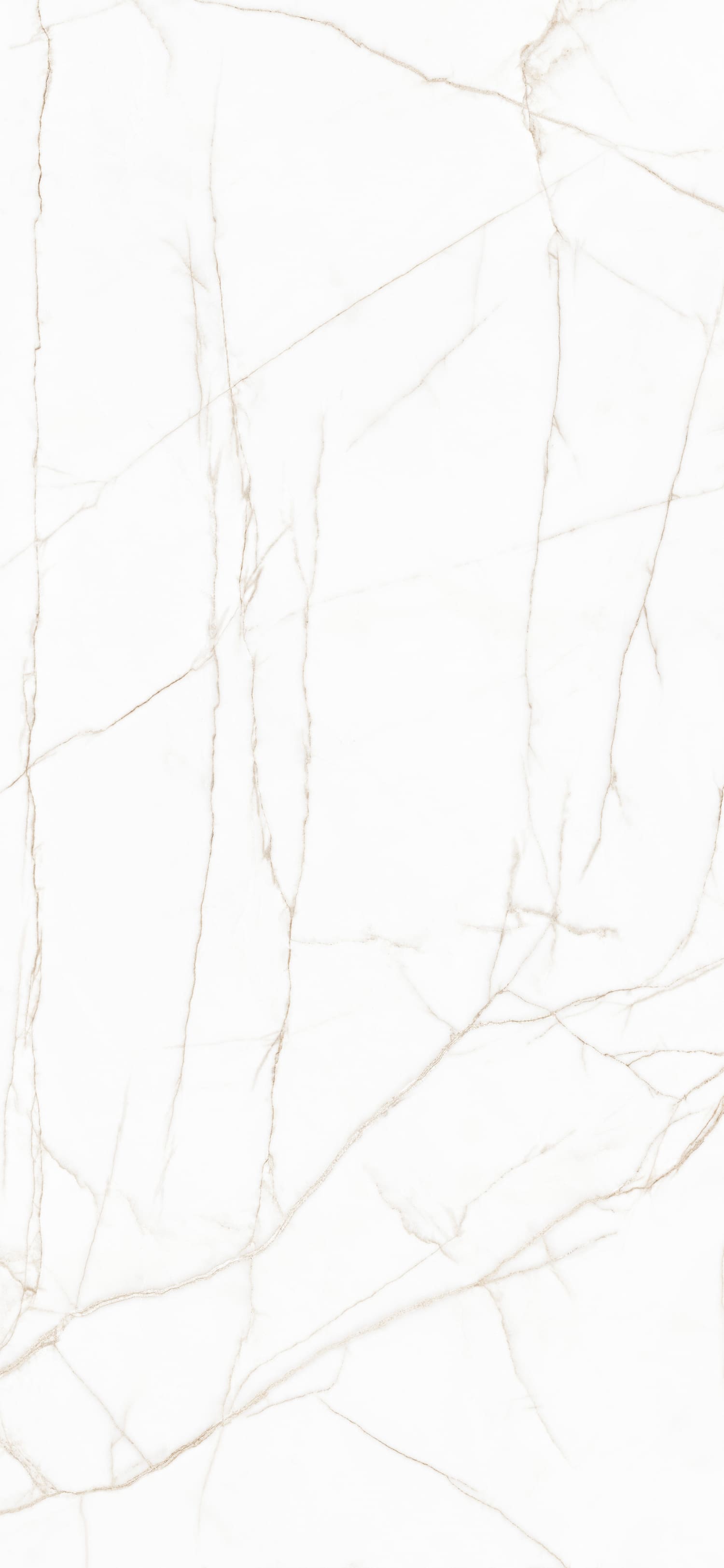 问鼎app官方下载