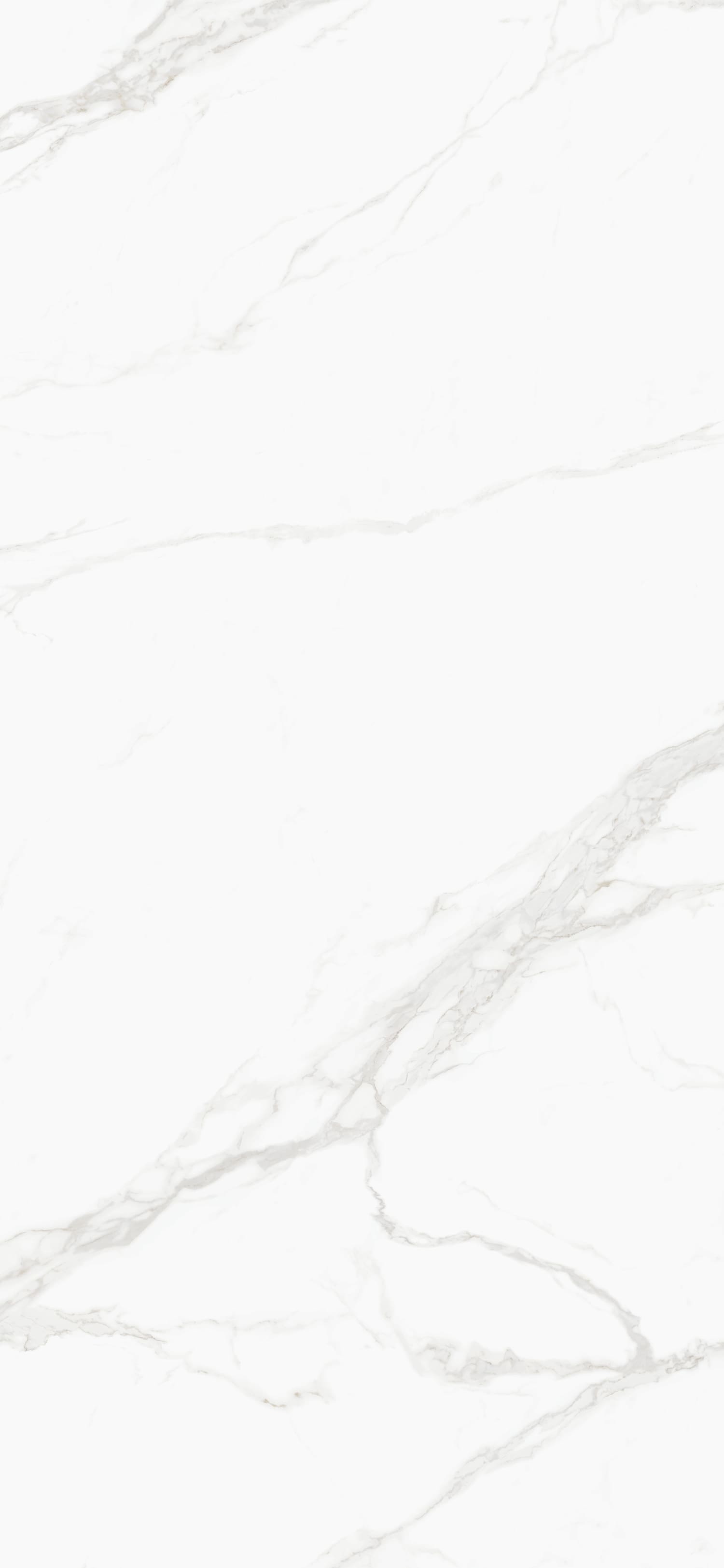 问鼎app官方下载