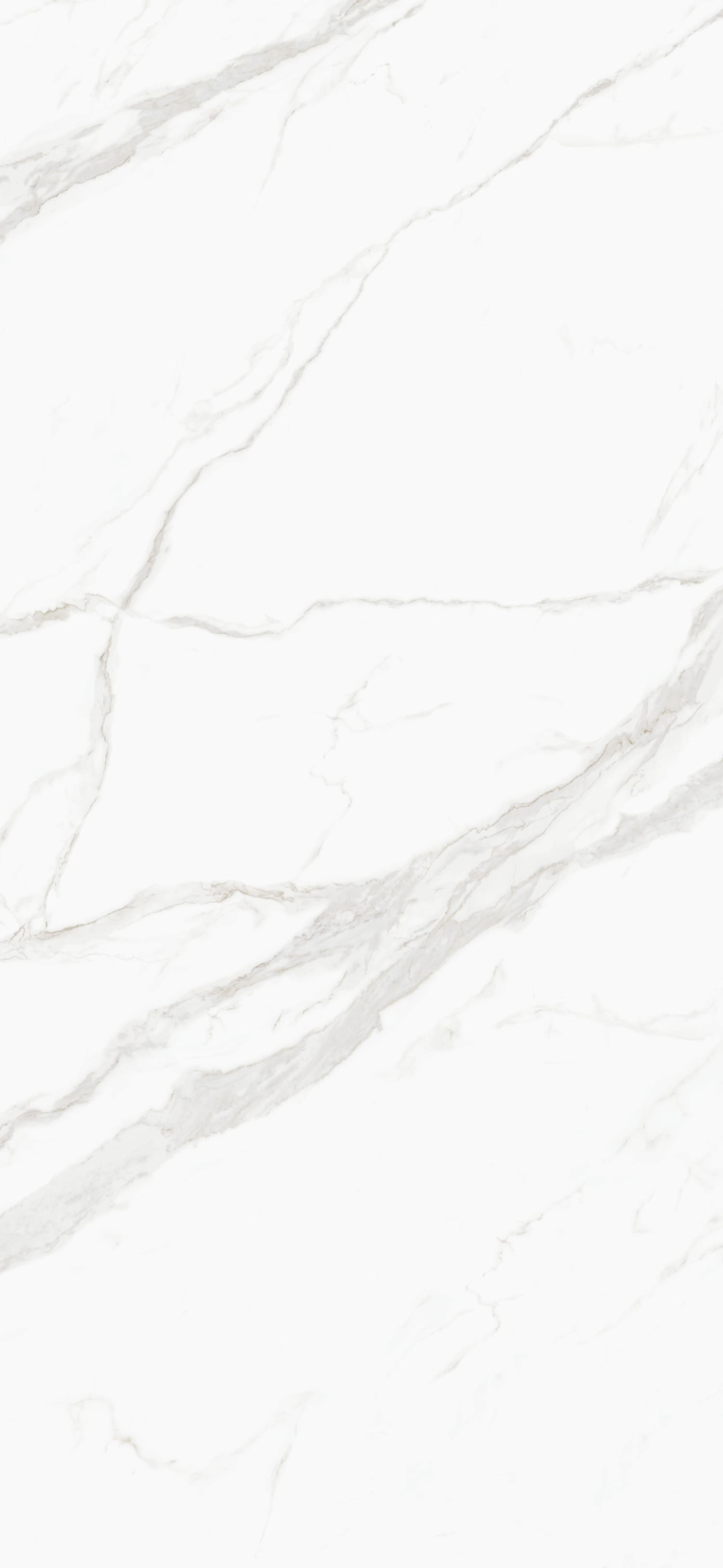 问鼎app官方下载