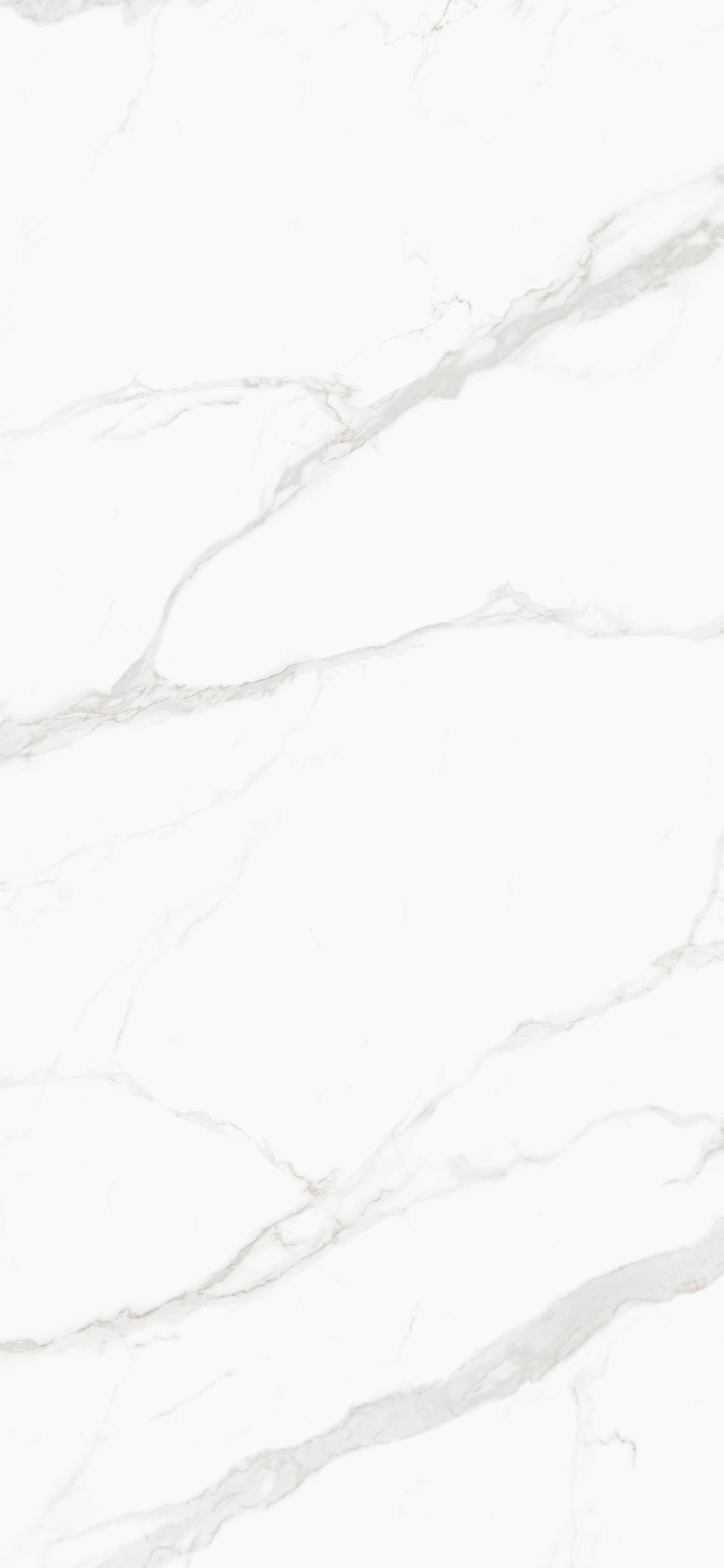 问鼎app官方下载