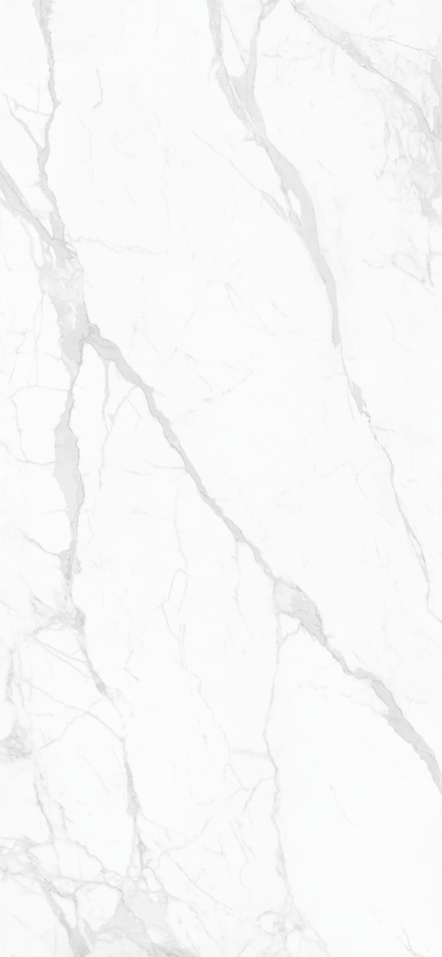 问鼎app官方下载