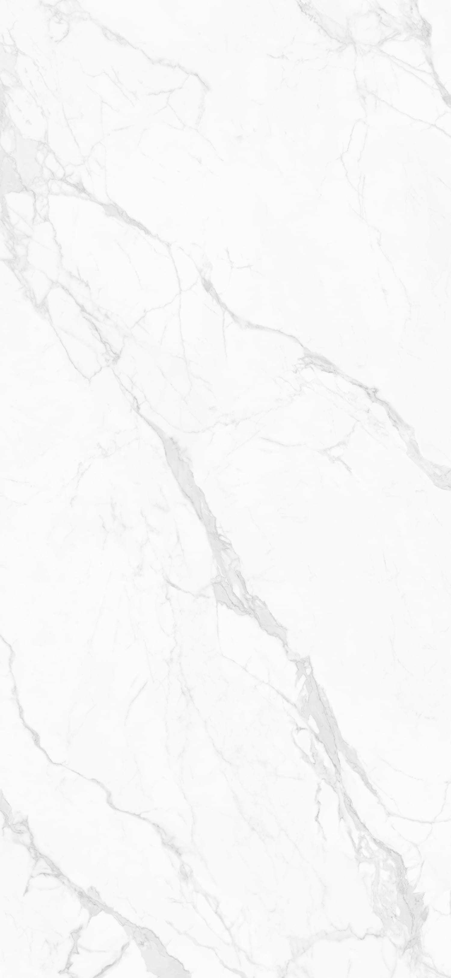 问鼎app官方下载