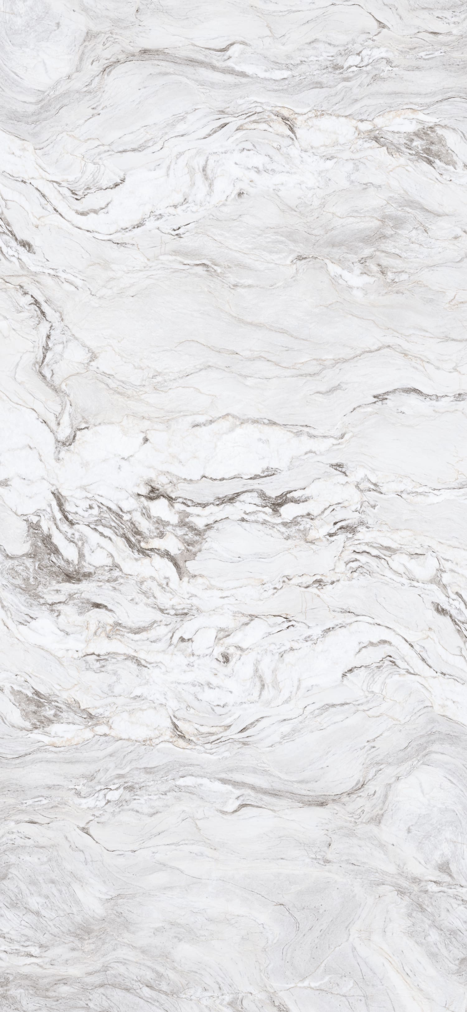 问鼎app官方下载