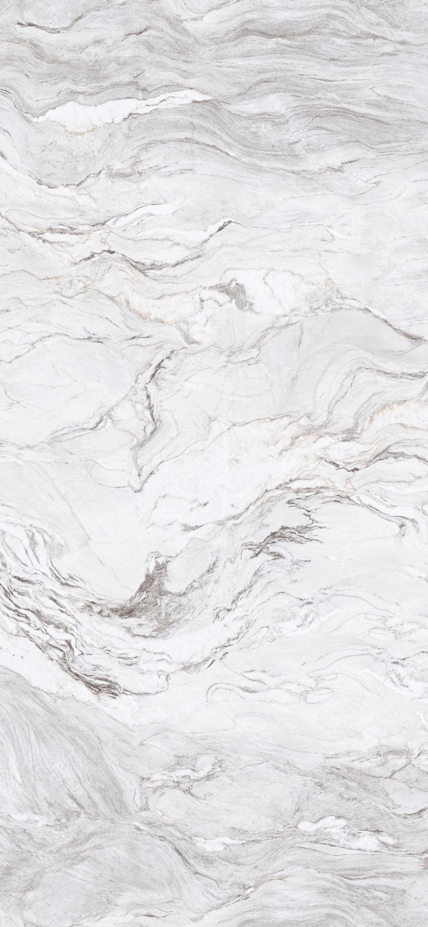 问鼎app官方下载