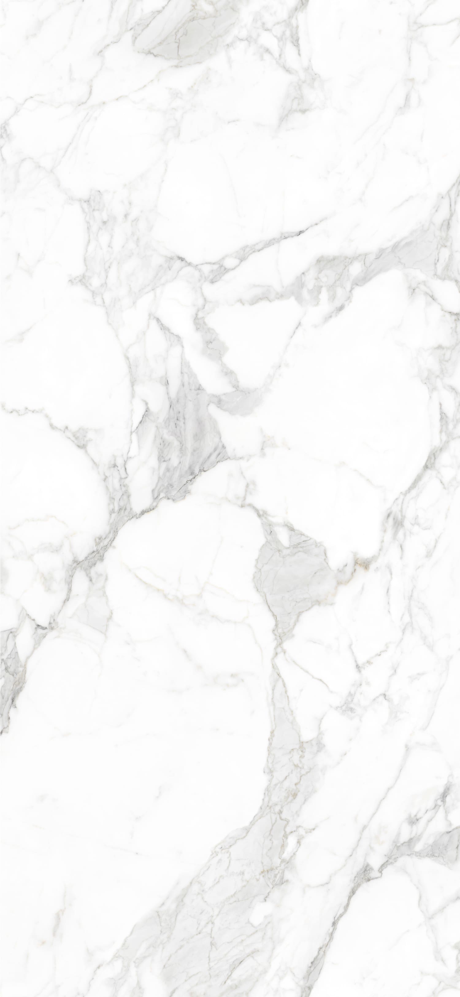 问鼎app官方下载