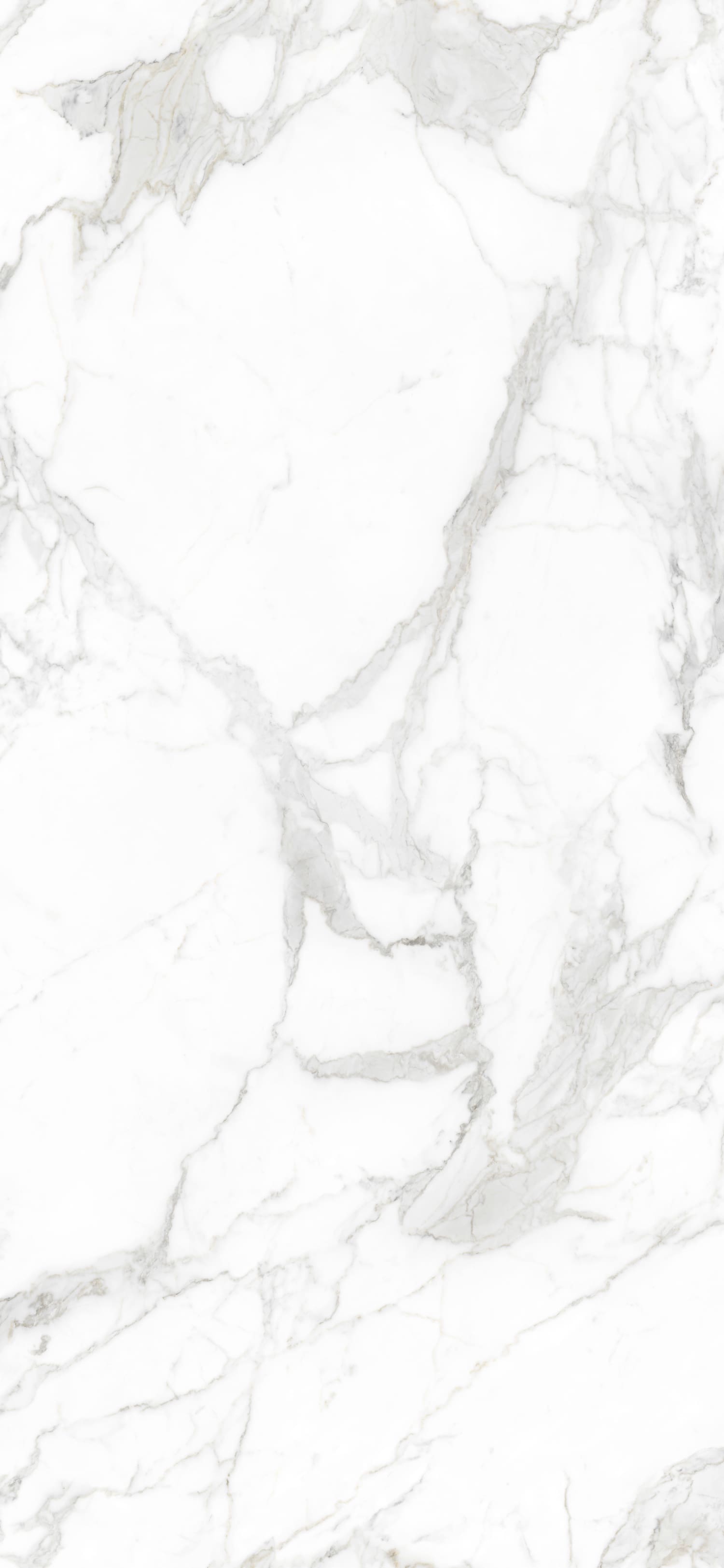 问鼎app官方下载